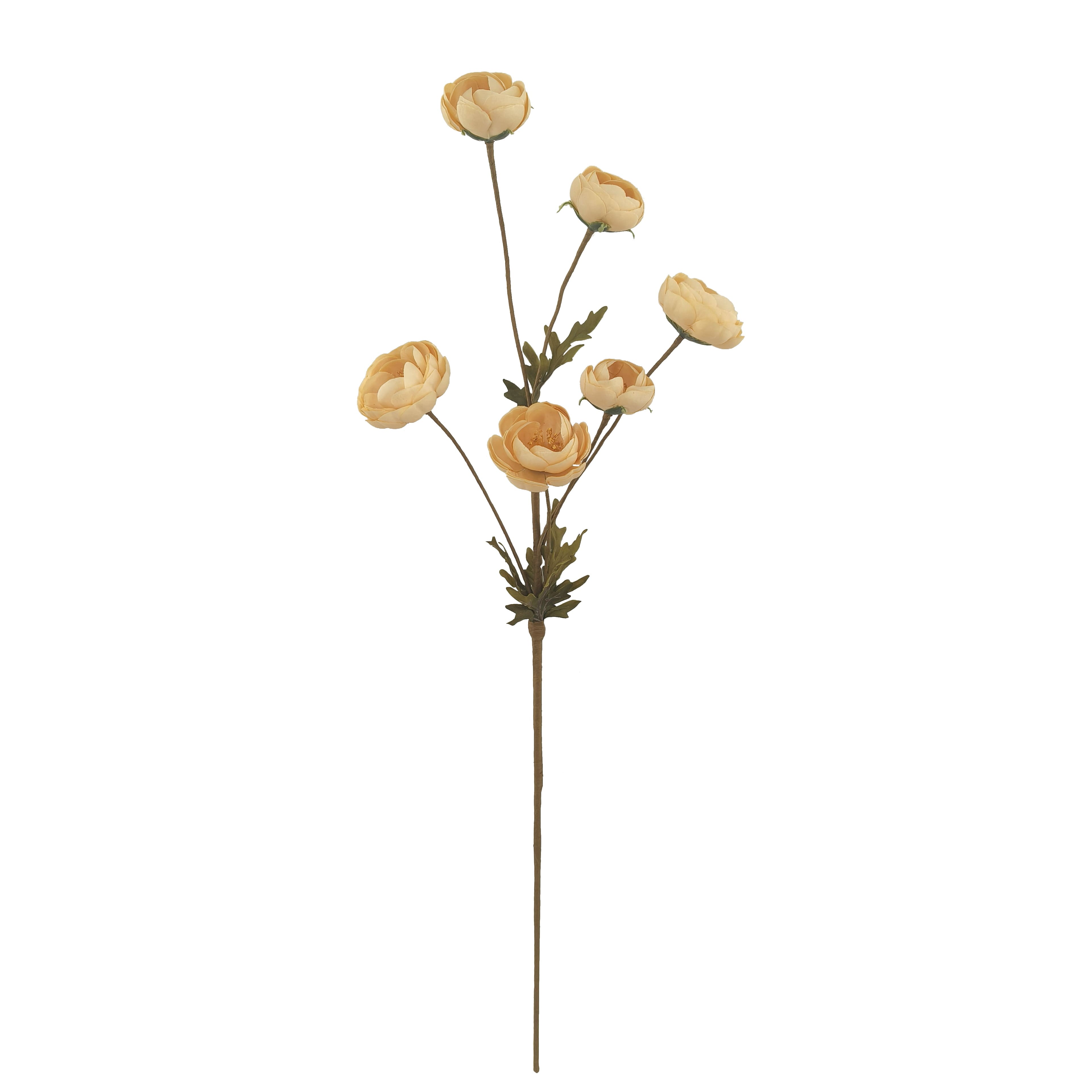 32&#x22; Ranunculus Stem by Ashland&#xAE;