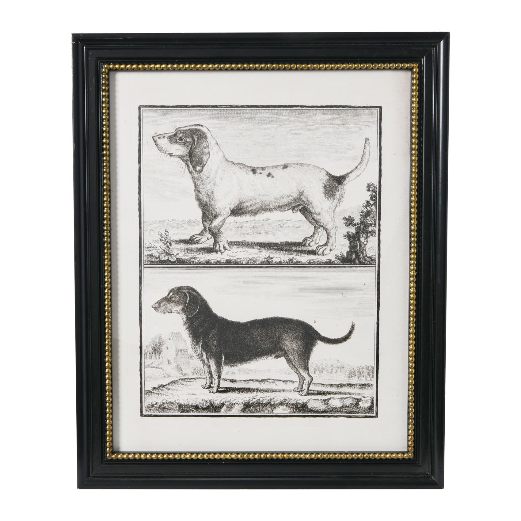 Hello Honey&#xAE; Framed Vintage Reproduction Dog Print