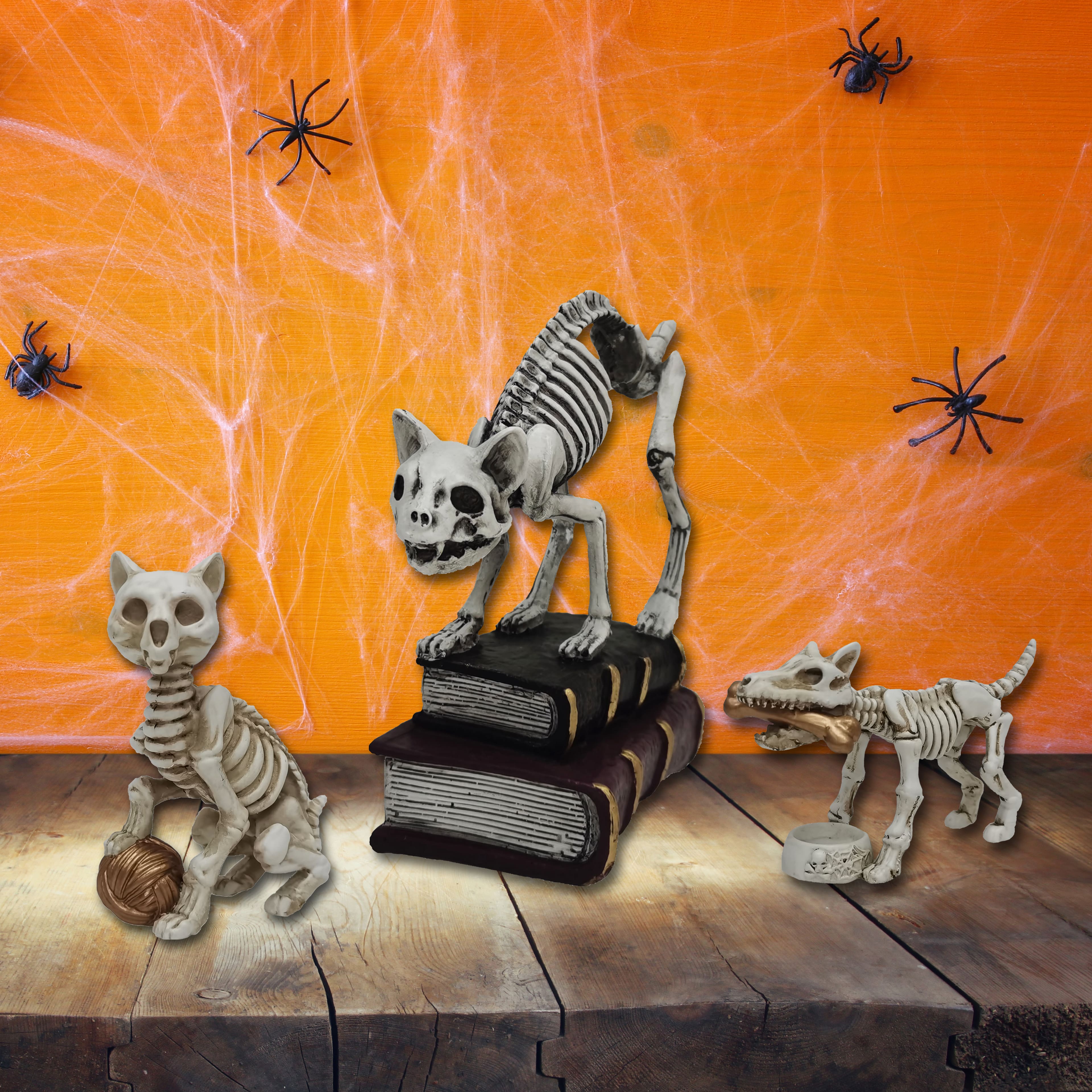 7&#x22; Skeleton Cat with Books Tabletop D&#xE9;cor by Ashland&#xAE;