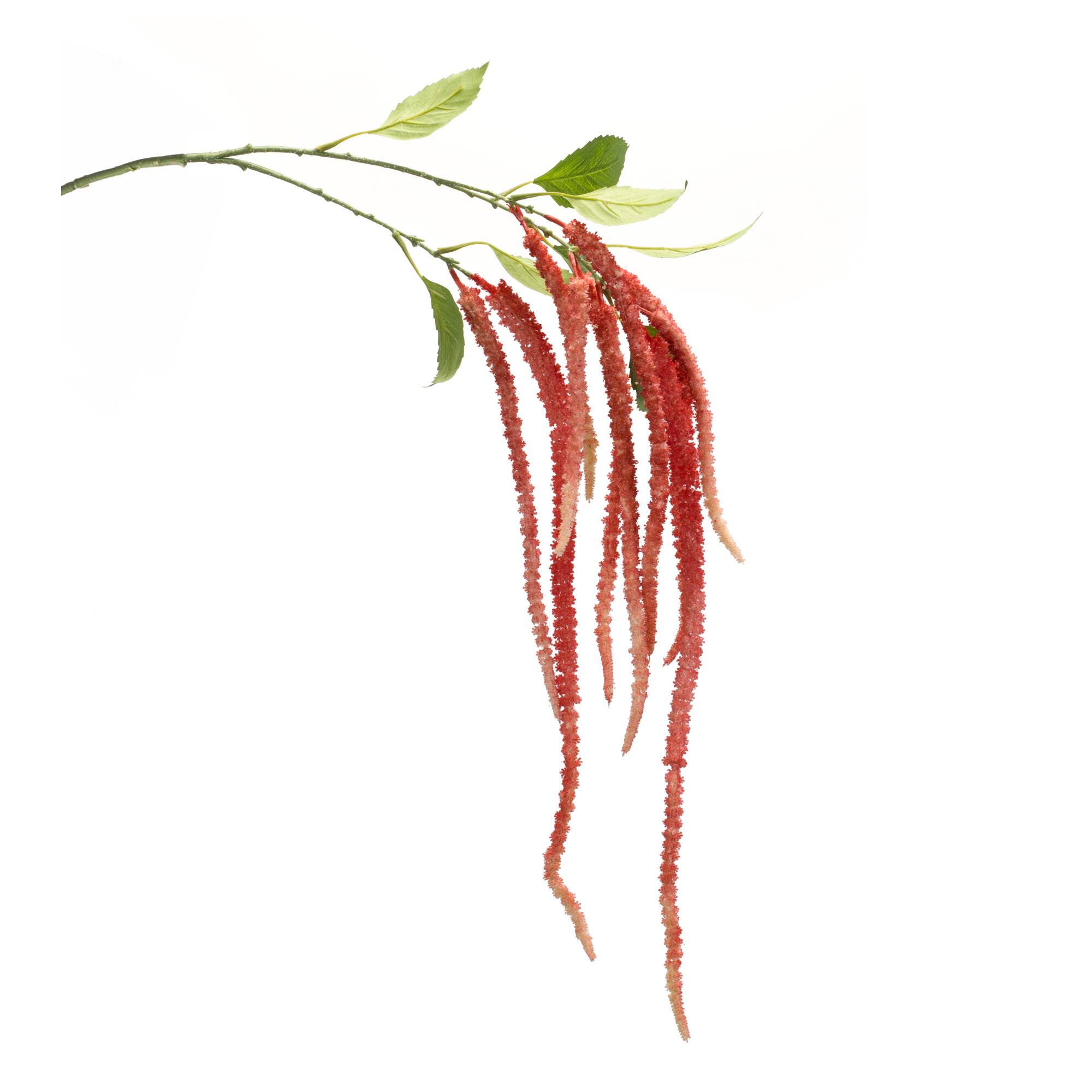 53.25&#x22; Red Amaranthus Floral Stems, 4ct.