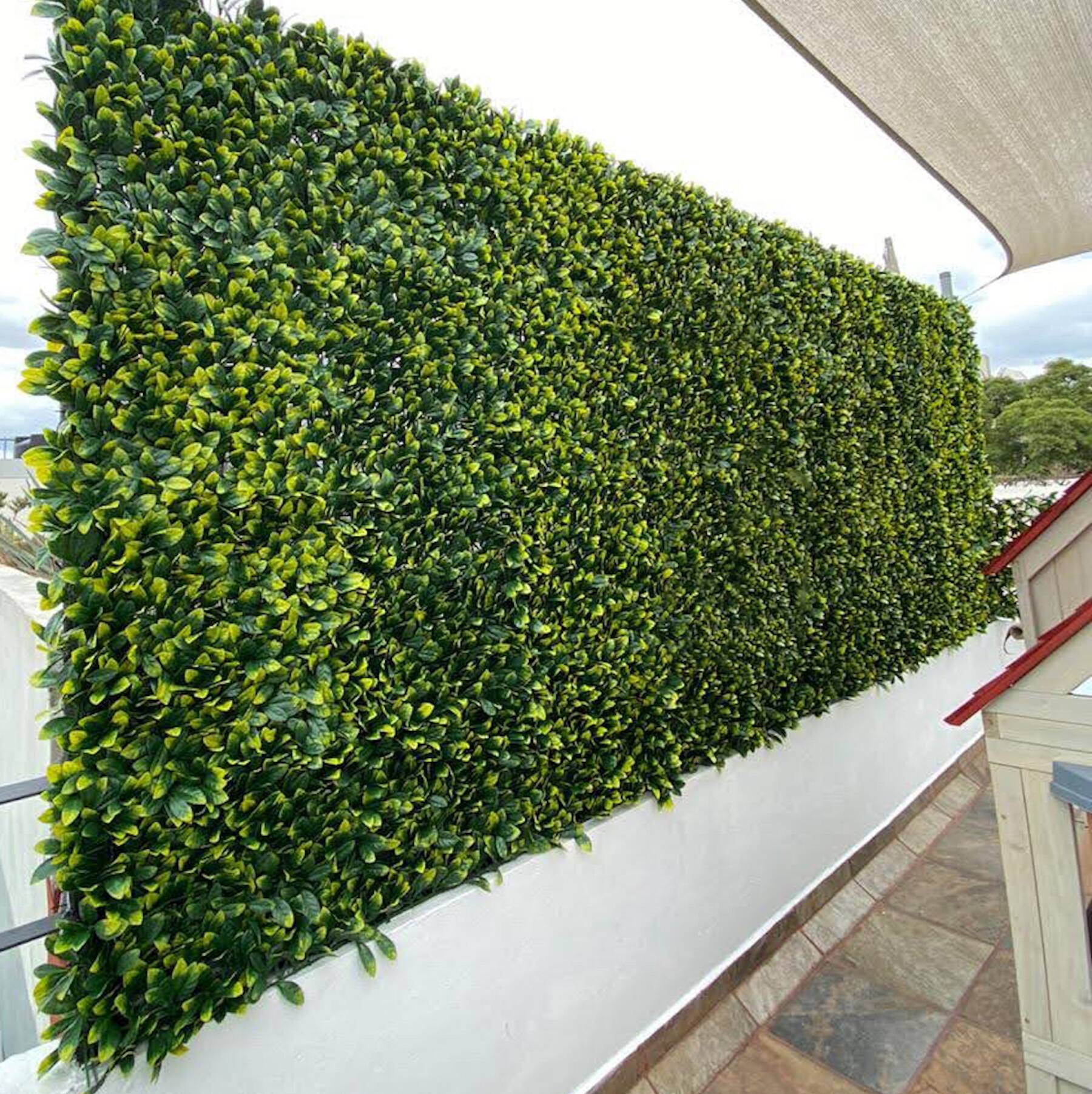 51&#x22; Expandable Lemon Leaf Lattice Screen