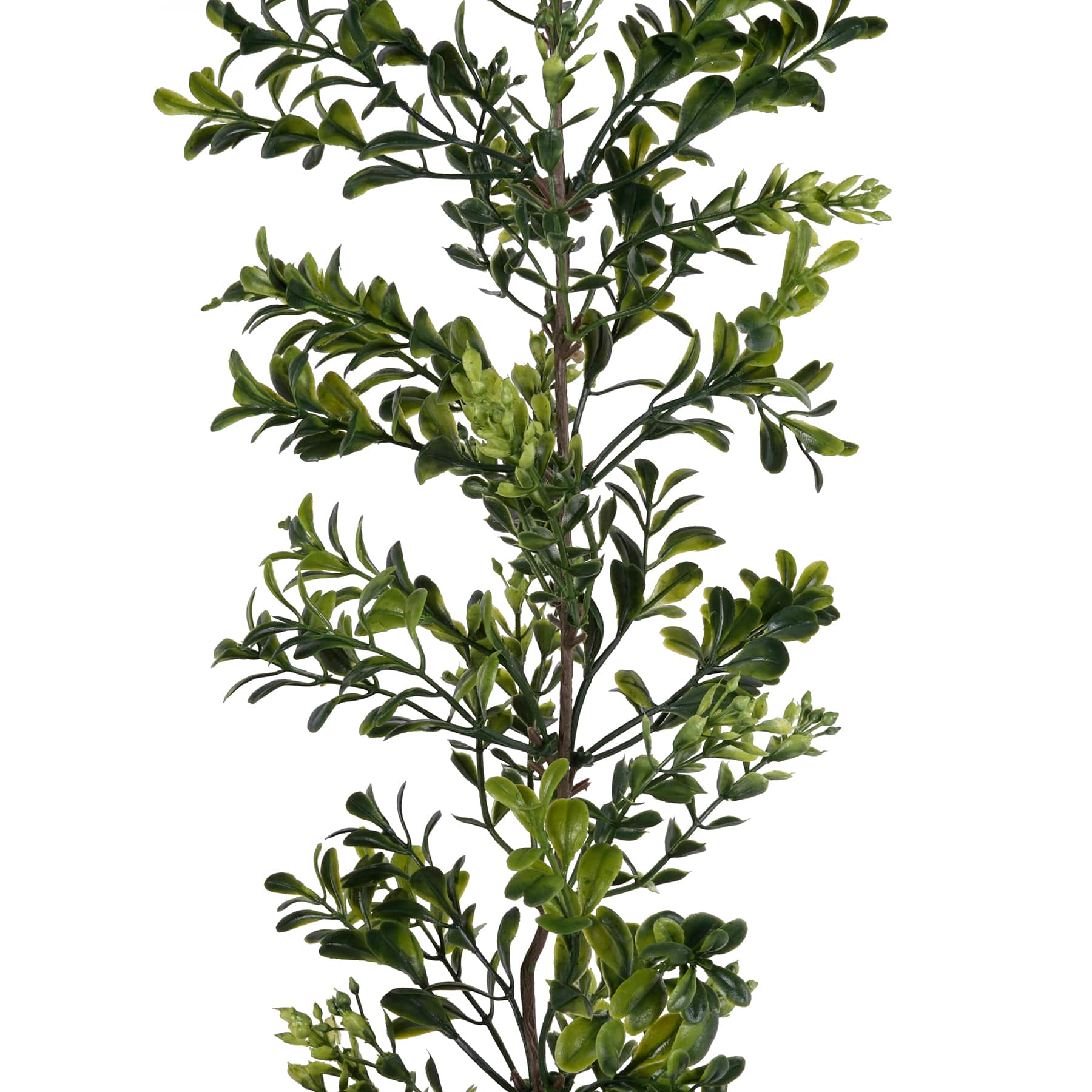 8 Pack: 6ft. Dark Green Boxwood Garland by Ashland&#xAE;