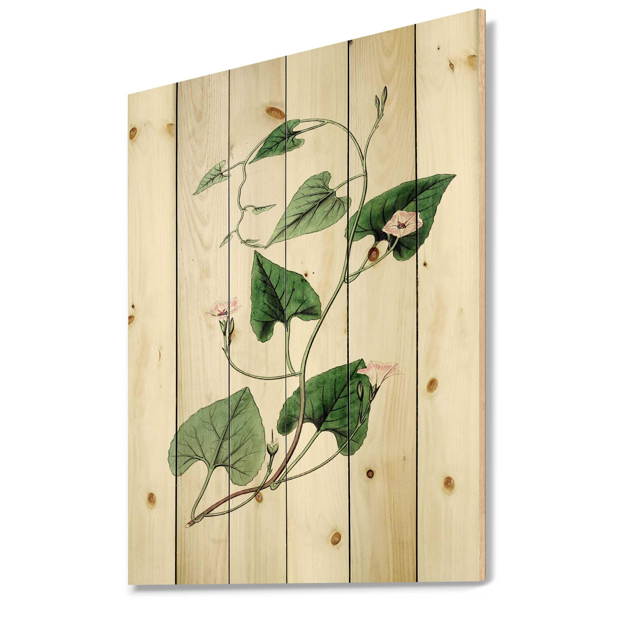 Designart - Vintage Green Leaves Plants IX - Traditional Print on Natural Pine Wood