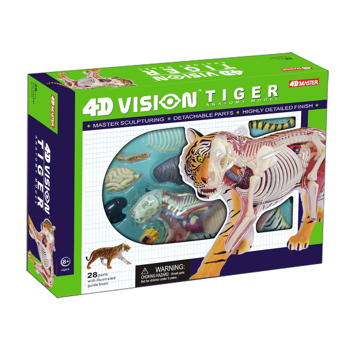 4D Vision™ Tiger Anatomy Model