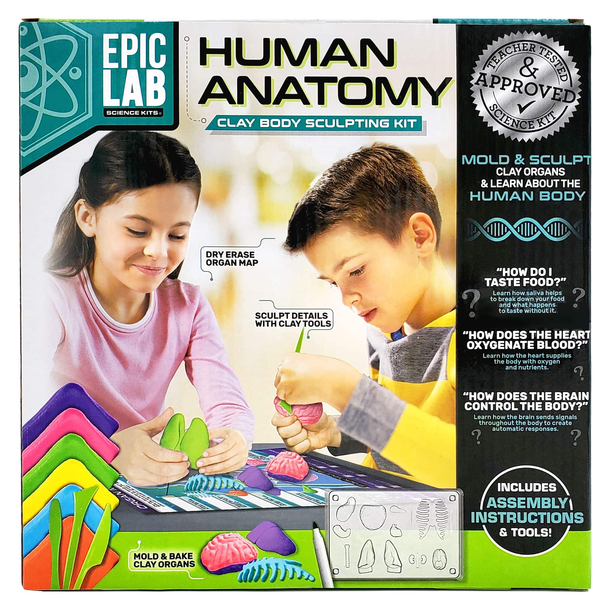 ArtSkills® Epic Lab Human Anatomy STEM Kit | Michaels