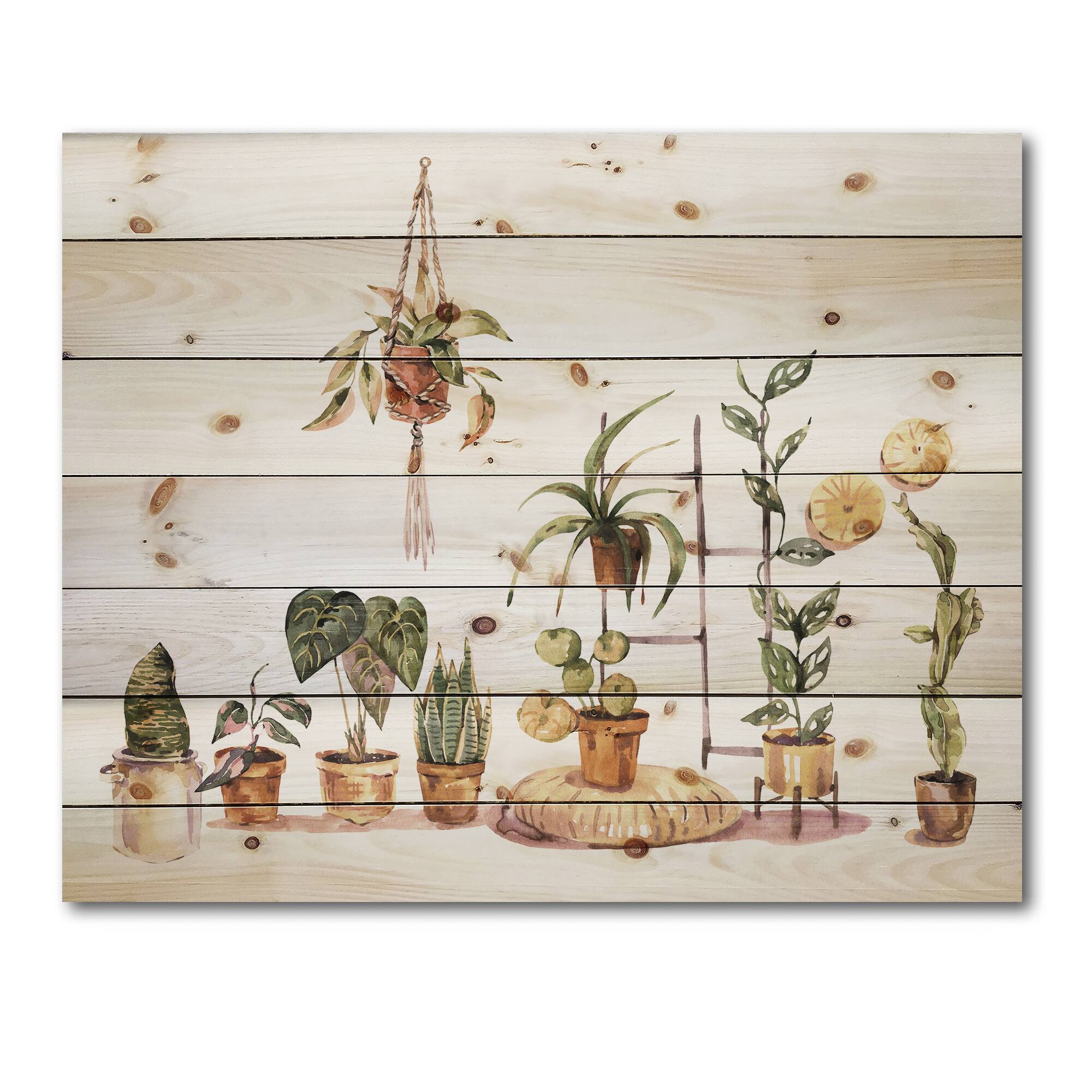 Designart - Indoor House Plants Urban Jungle II - Traditional Print on Natural Pine Wood