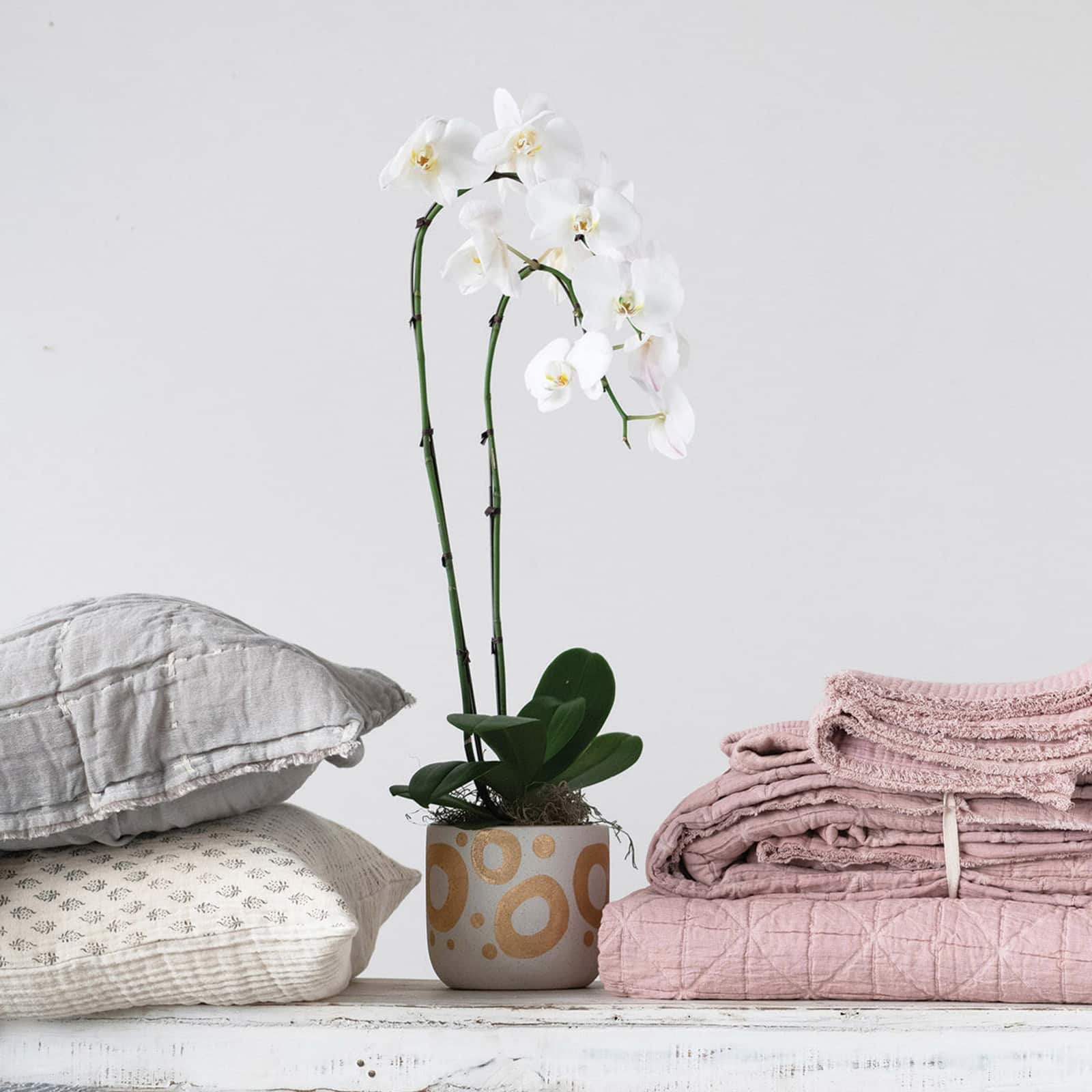 Hello Honey® 6.5" White & Gold Hand-Painted Stoneware Planter