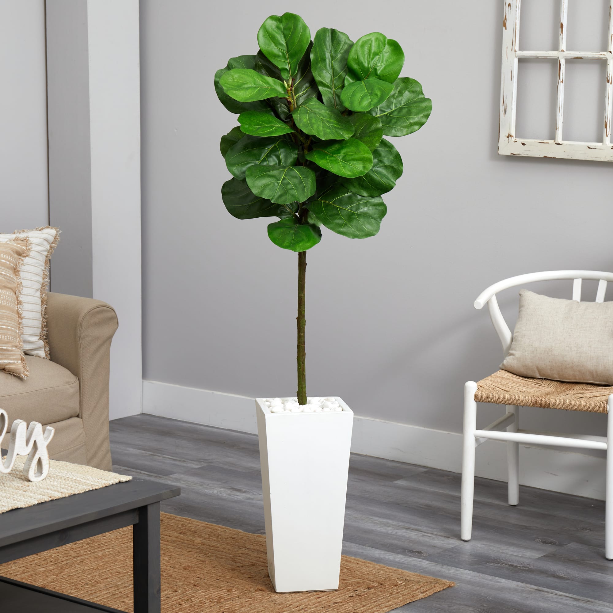 5.5ft. Fiddle Leaf Tree in White Tower Planter