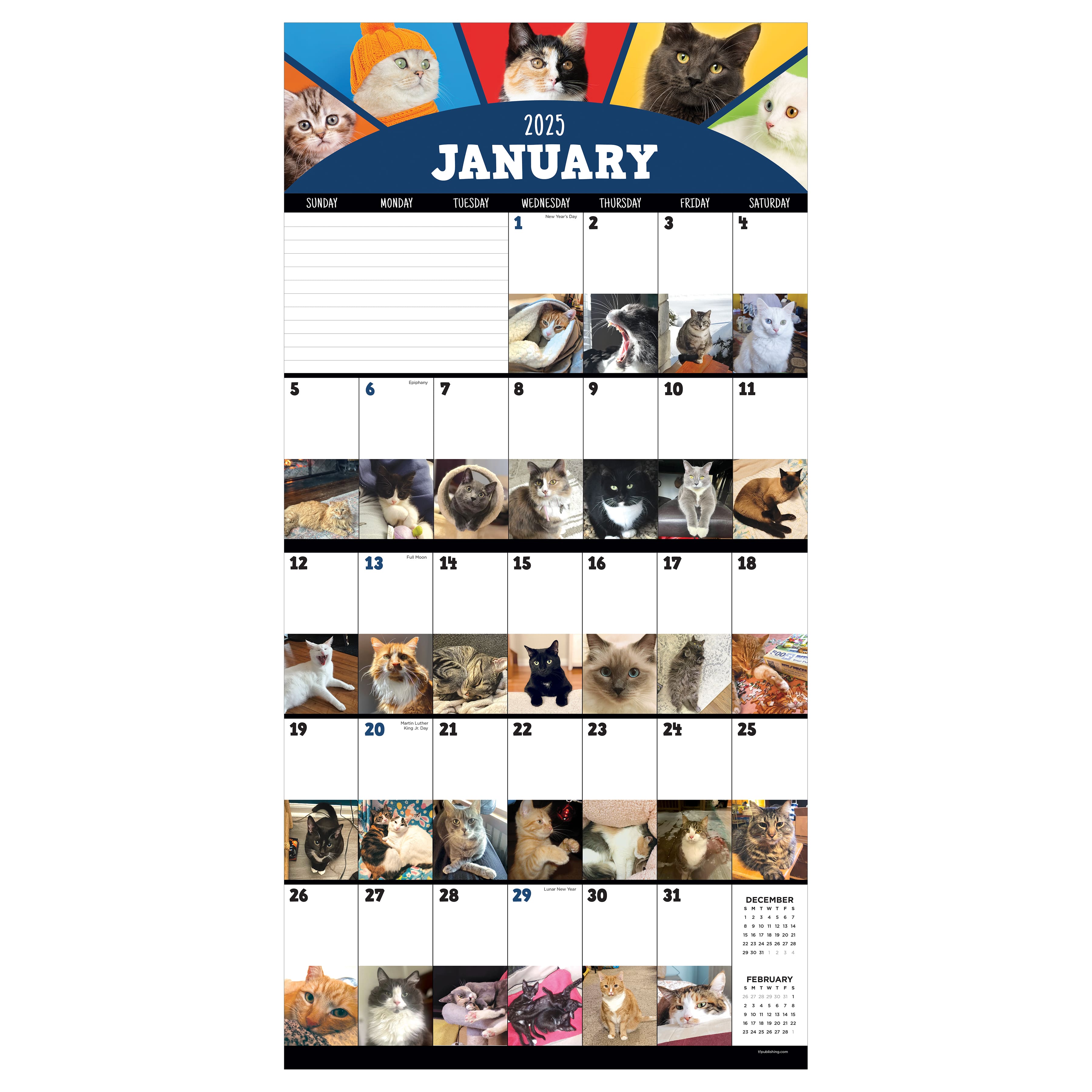 TF Publishing 2025 Cat-a-Day Wall Calendar