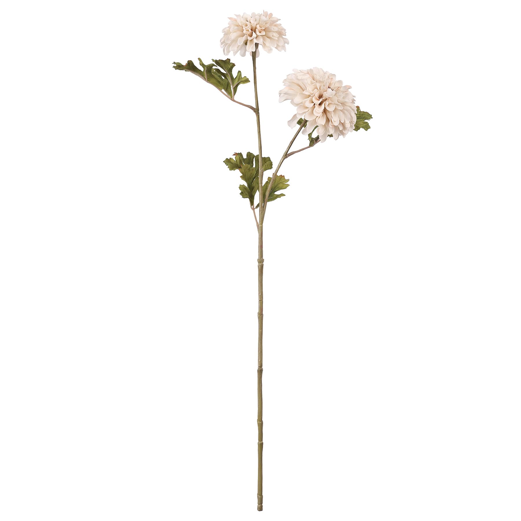 26&#x22; Cream Ball Dahlia Stem by Ashland&#xAE;
