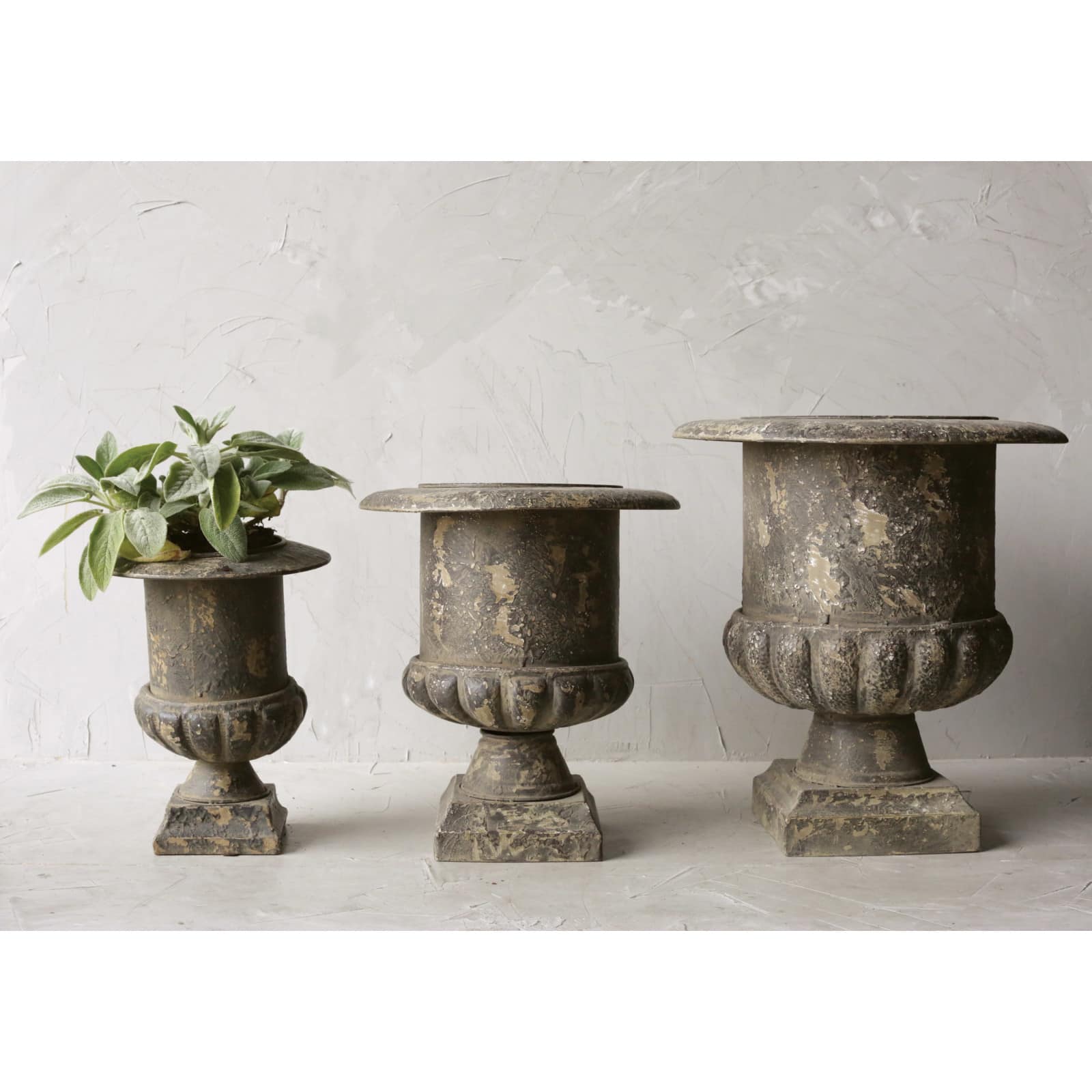 Hello Honey® Distressed Black Metal Planters Set