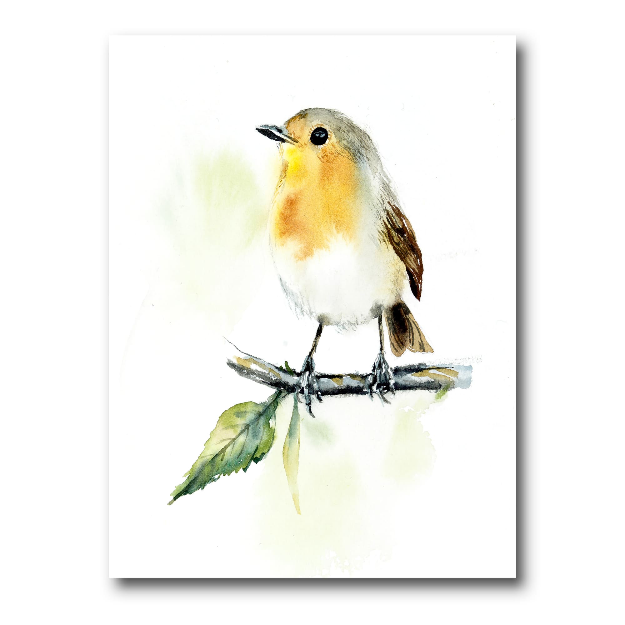 Designart - Little Robin Bird On A Branch - Traditional Canvas Wall Art Print