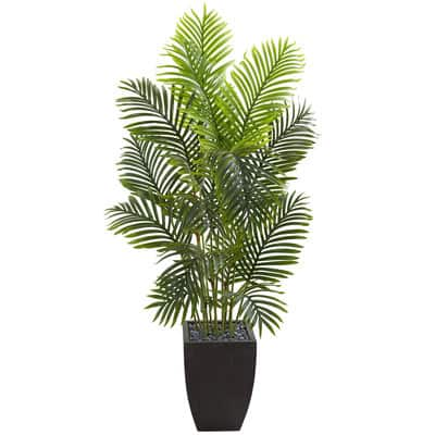 5.5ft. Paradise Palm Tree with Square Planter | Michaels