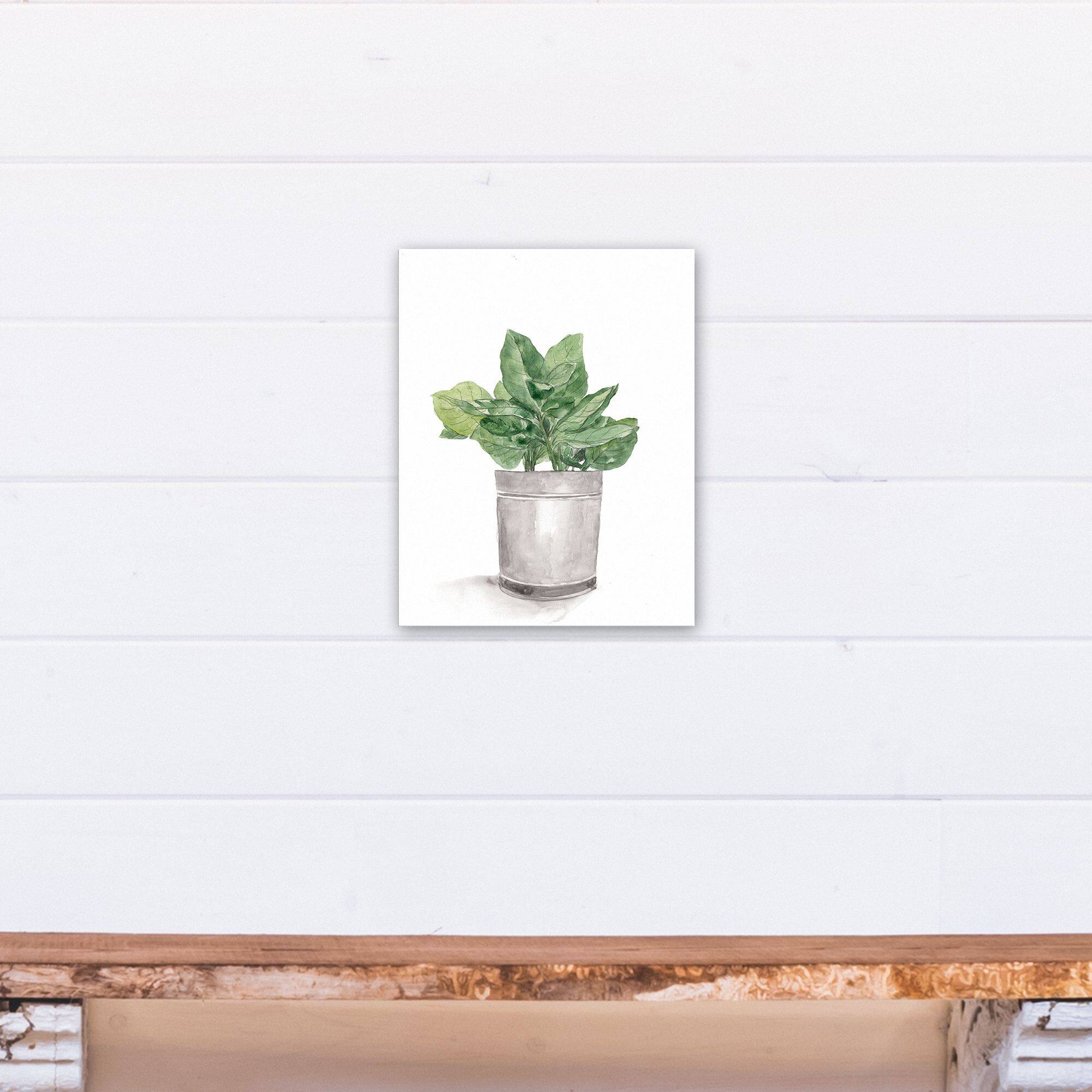 Bucket of Basil  11" x 14" Canvas Wall Art