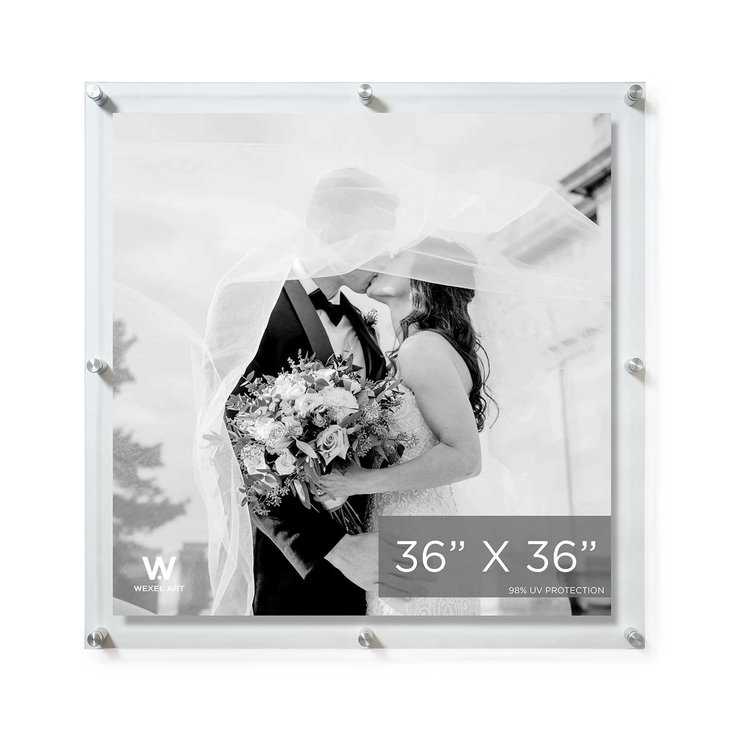 Wexel Art Double Panel Clear Acrylic Floating Wall Frame with Silver Hardware