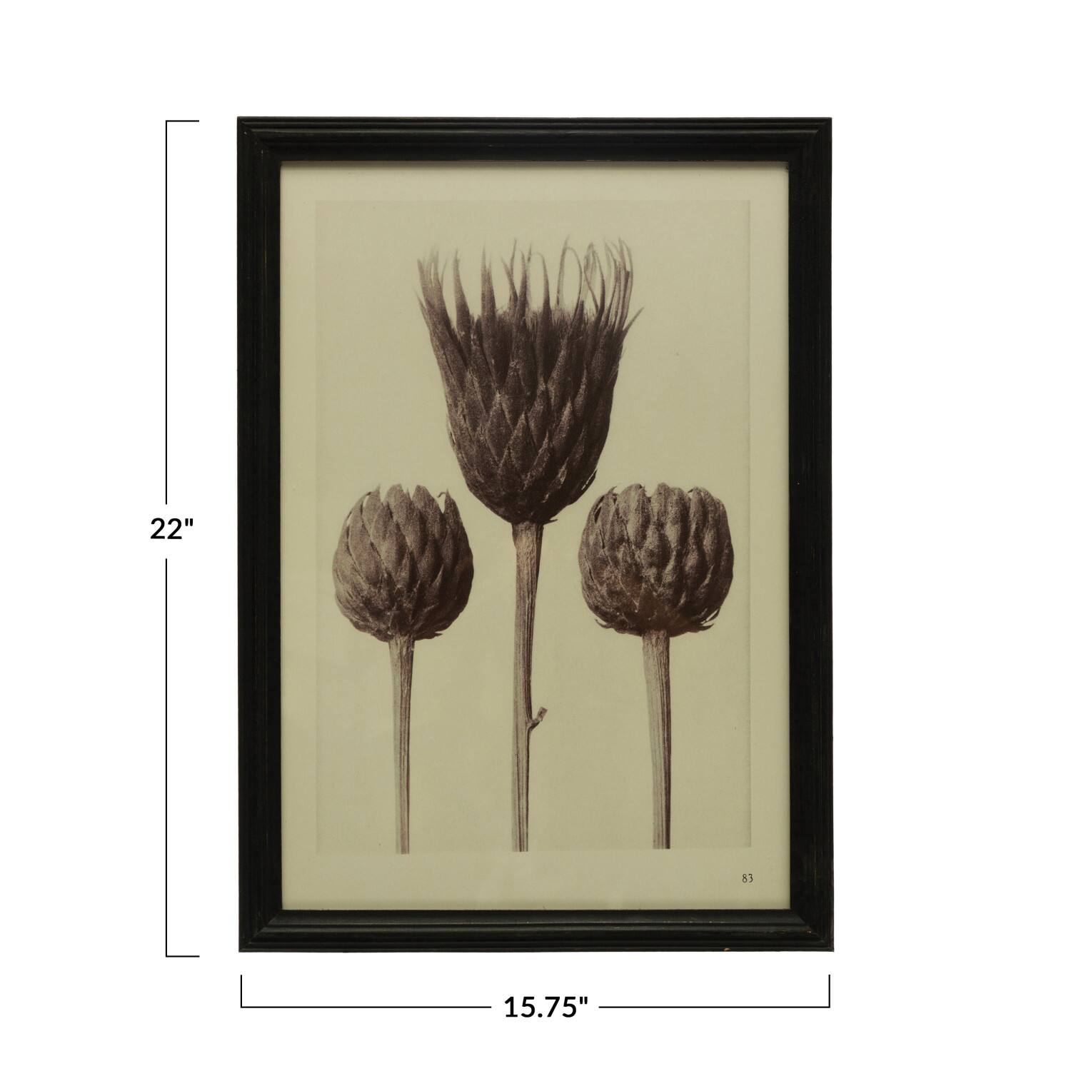 Hello Honey&#xAE; Artichoke Print Wall Art with Glass Cover