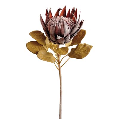 12 Pack: Burgundy Protea Spray | Floral Stems | Michaels