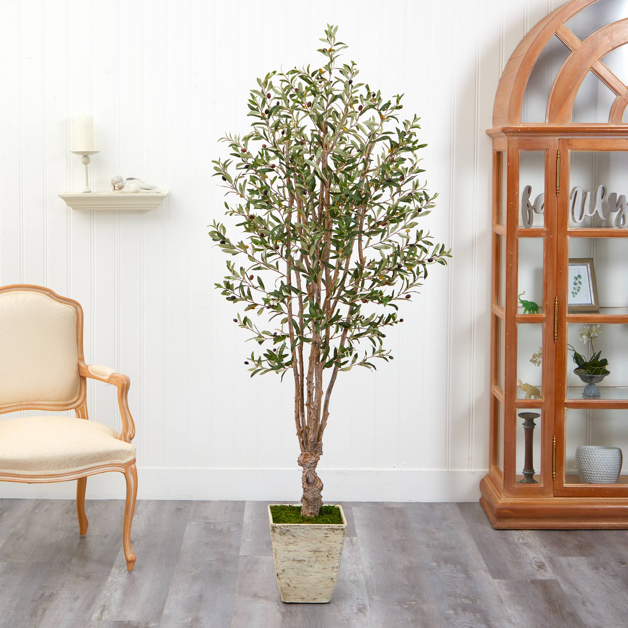 6.5ft. Olive Tree in Country White Planter