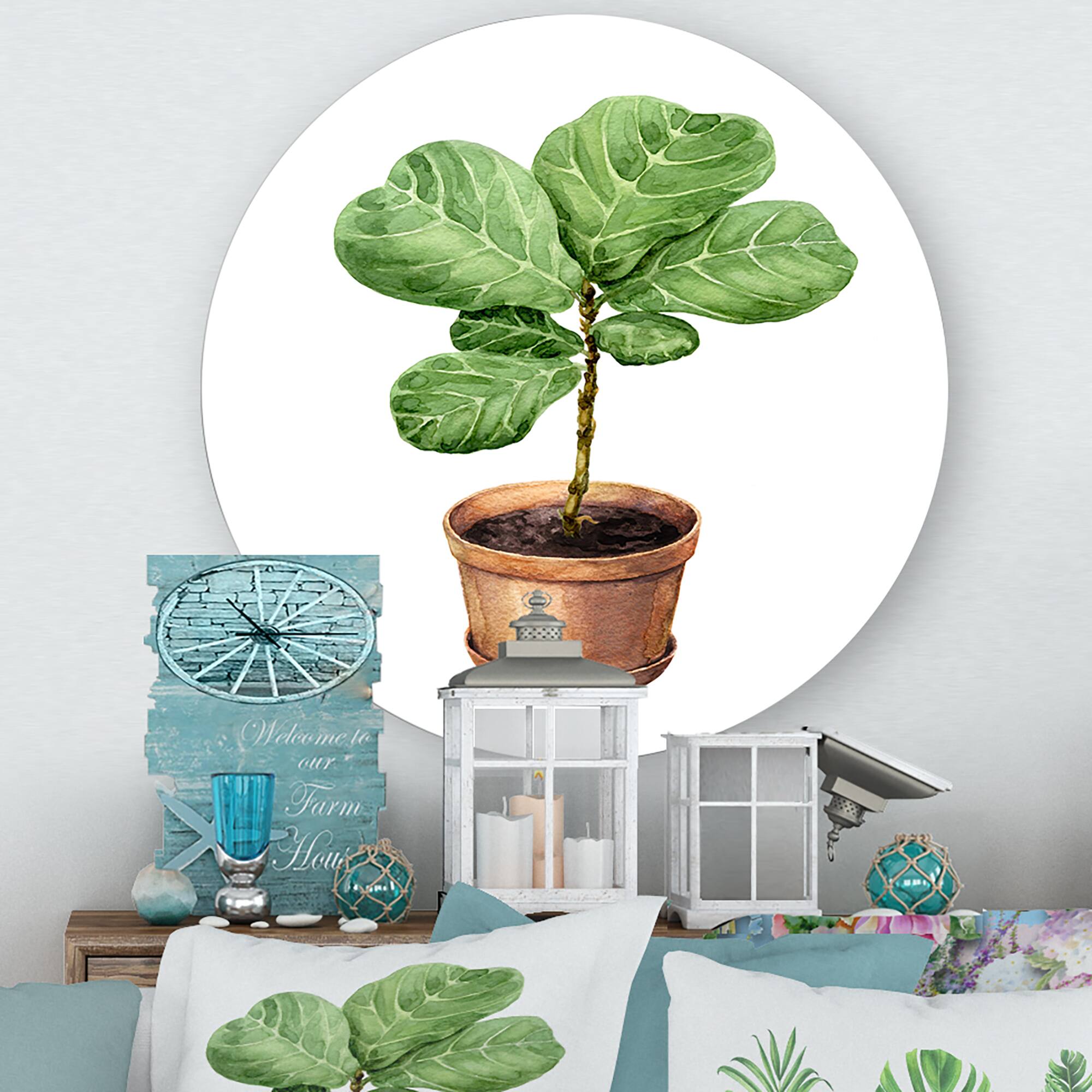 Designart - Ficus Lyre In Clay Flowerpot