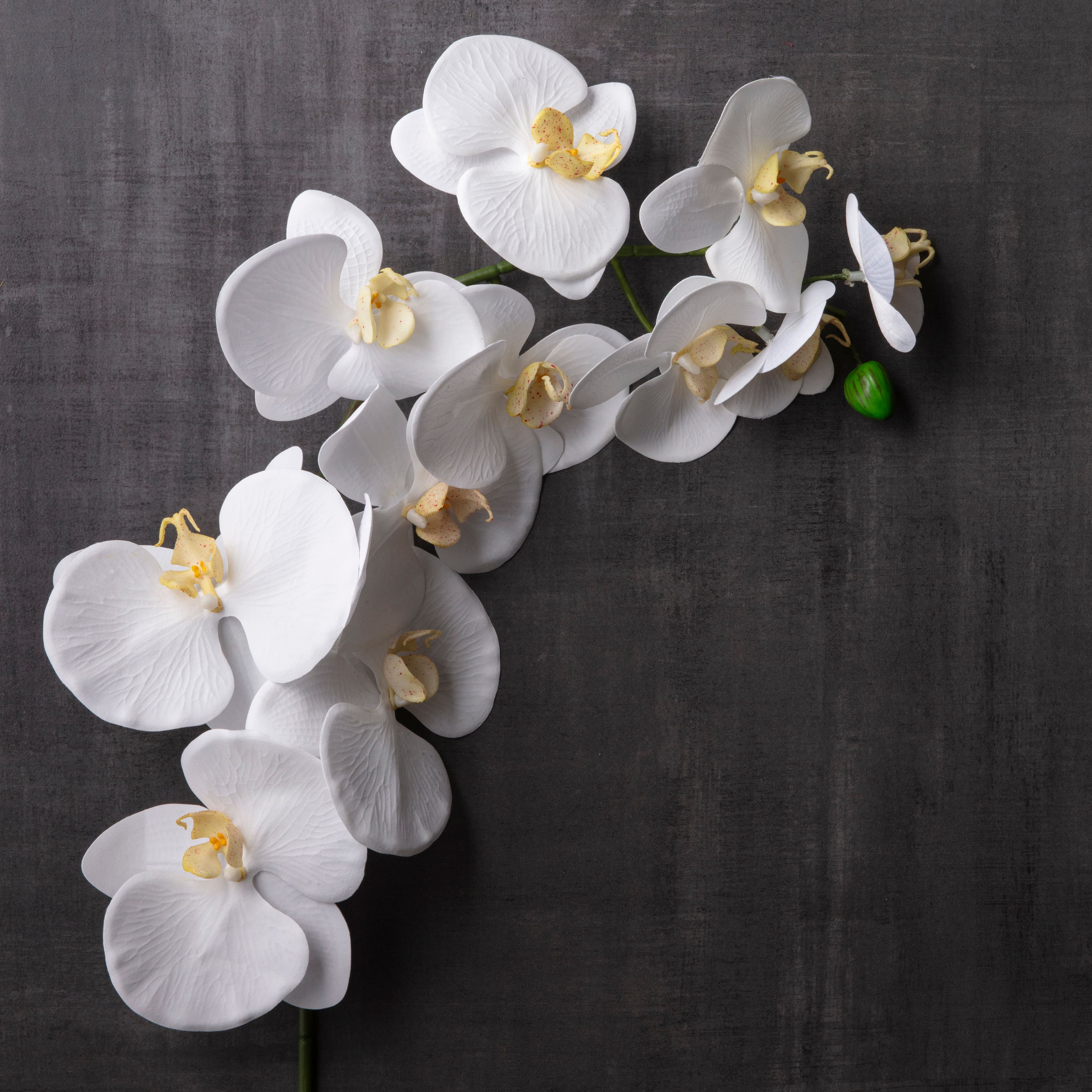 12 Pack: White Orchid Stem by Ashland&#xAE;