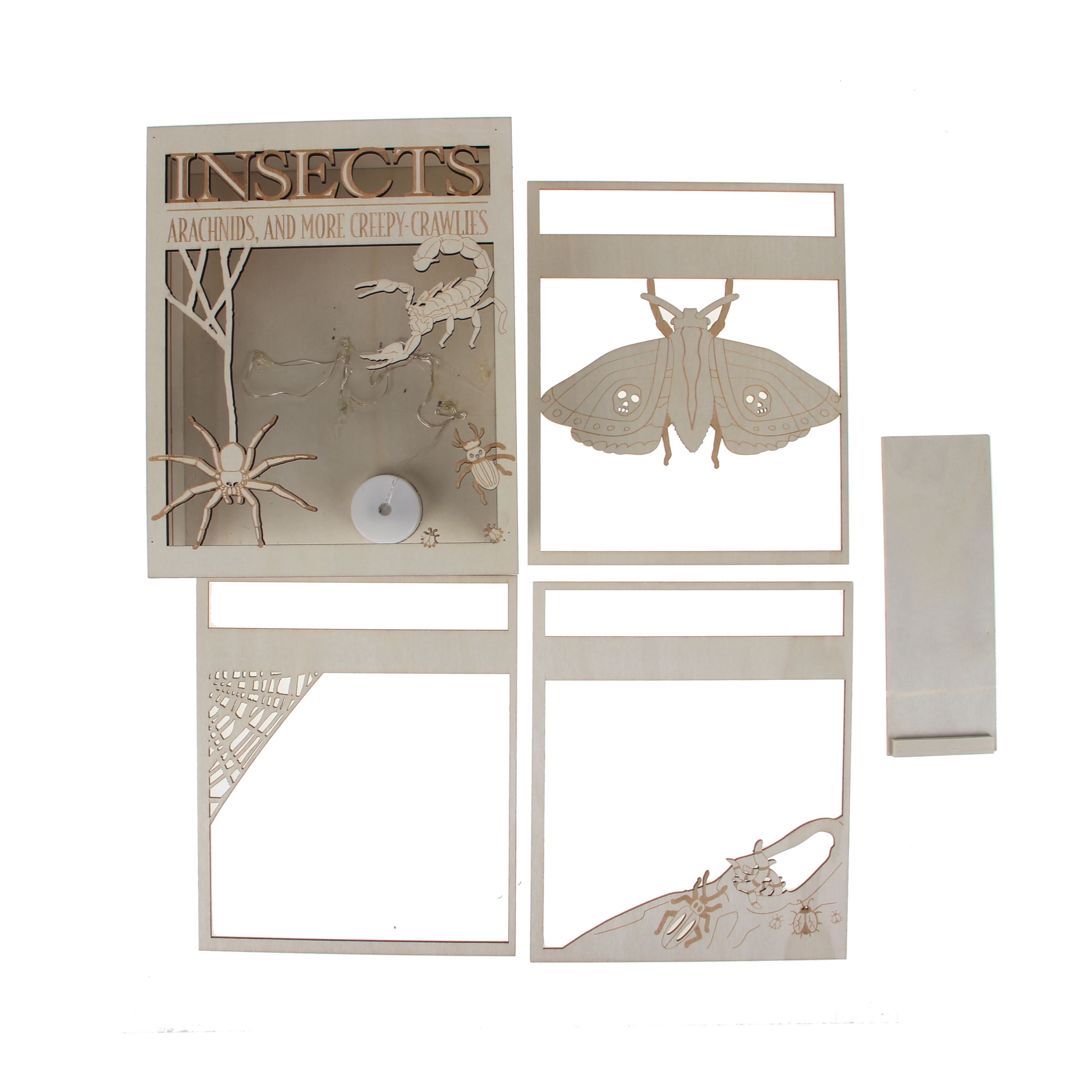8.5" Insects Book DIY LED Plywood Décor by Make Market®