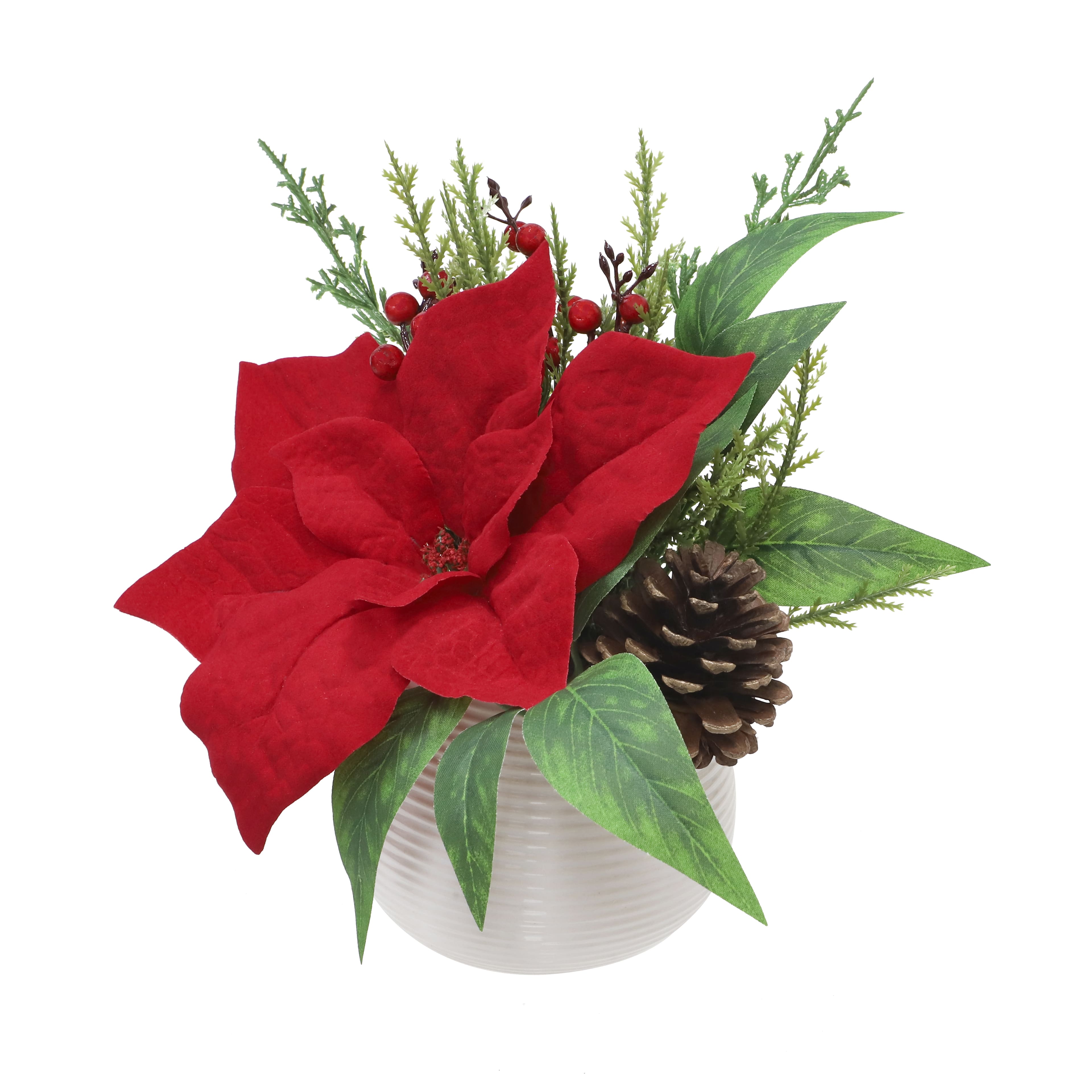 10.5" Red Poinsettia, Cedar & Pinecone Arrangement in White Ceramic Pot by Ashland®
