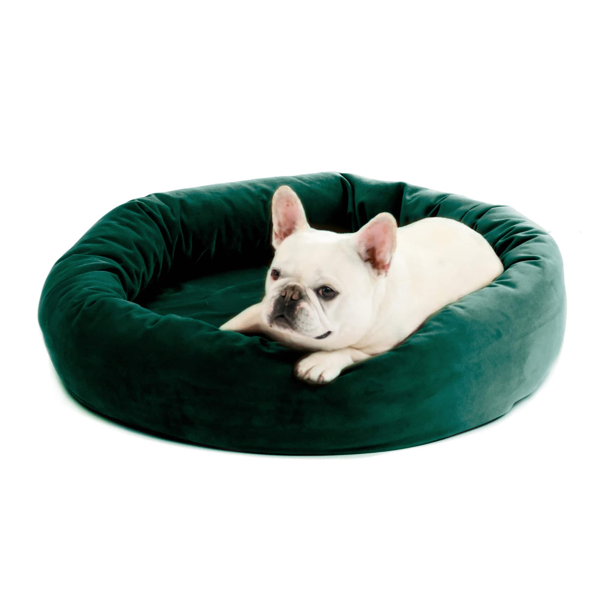 Royal Pet Bed Small Washable Luxury Velvet Dog Bed