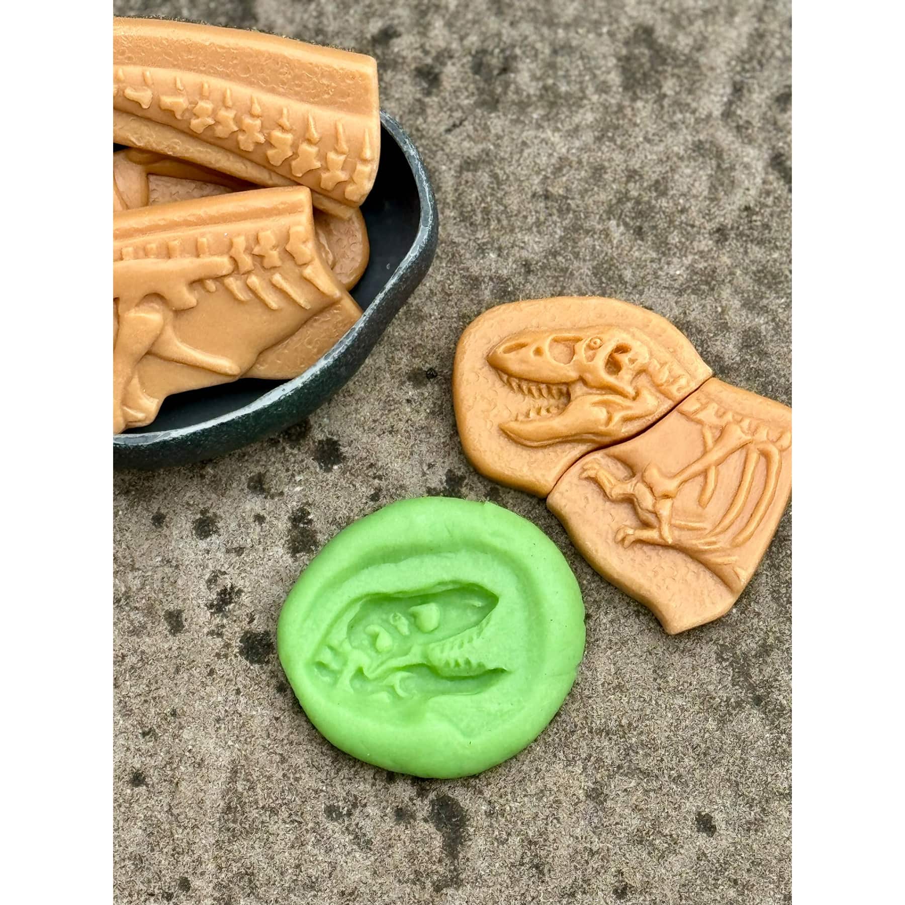 Yellow Door Dig & Discover Dinosaur Skeletons Set