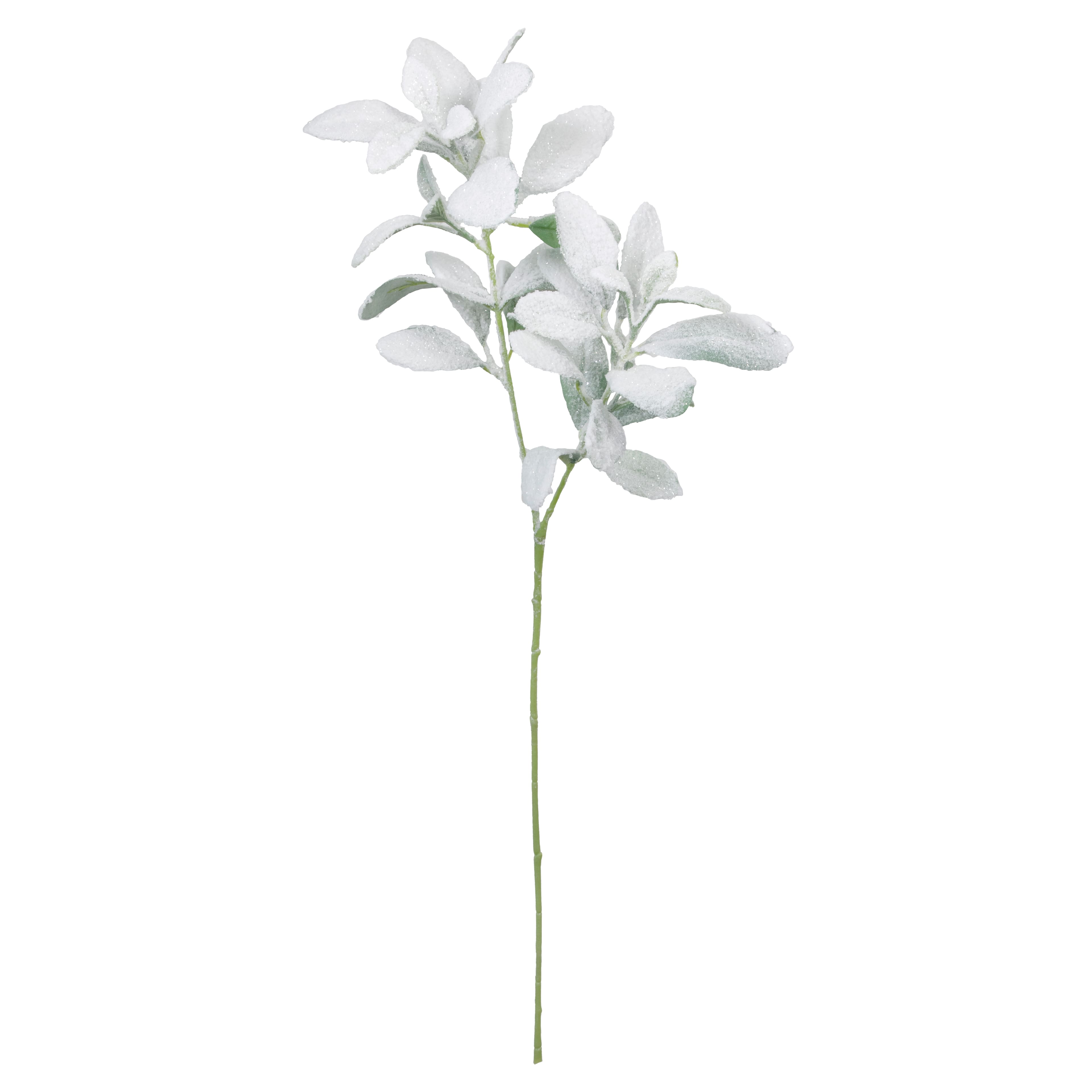 28&#x22; Snowy Lamb&#x27;s Ear Stem by Ashland&#xAE;