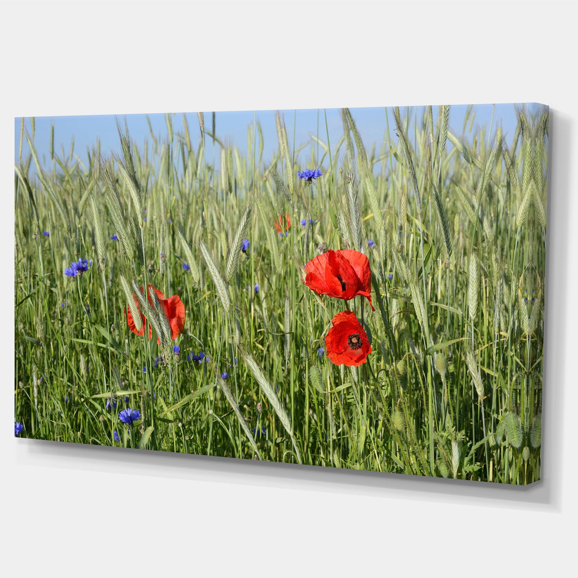 Designart - Rural Landscape with Red Poppies - Large Landscape Canvas Art