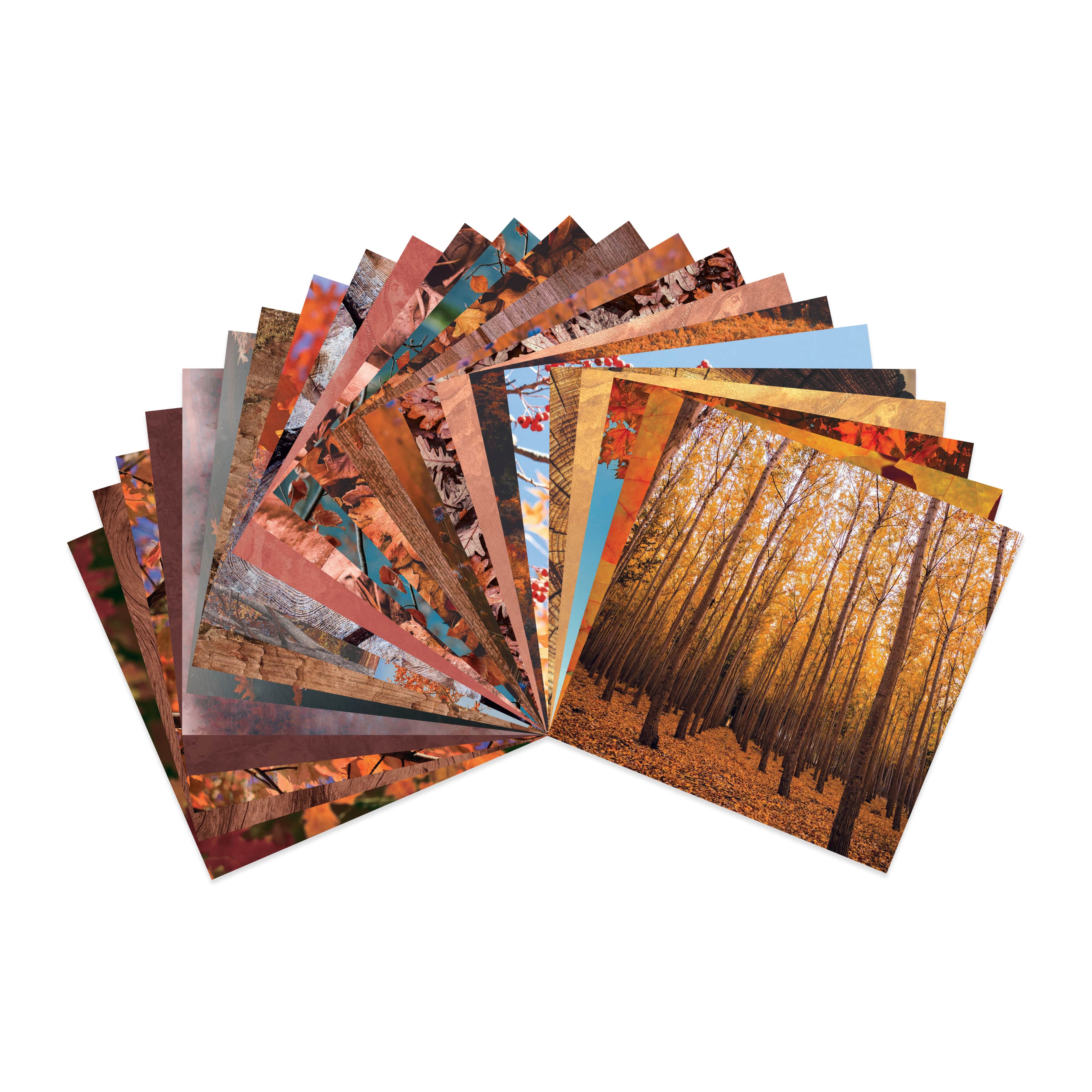 Craft Smith 12&#x22; x 12&#x22; Autumn Textures Paper Pad