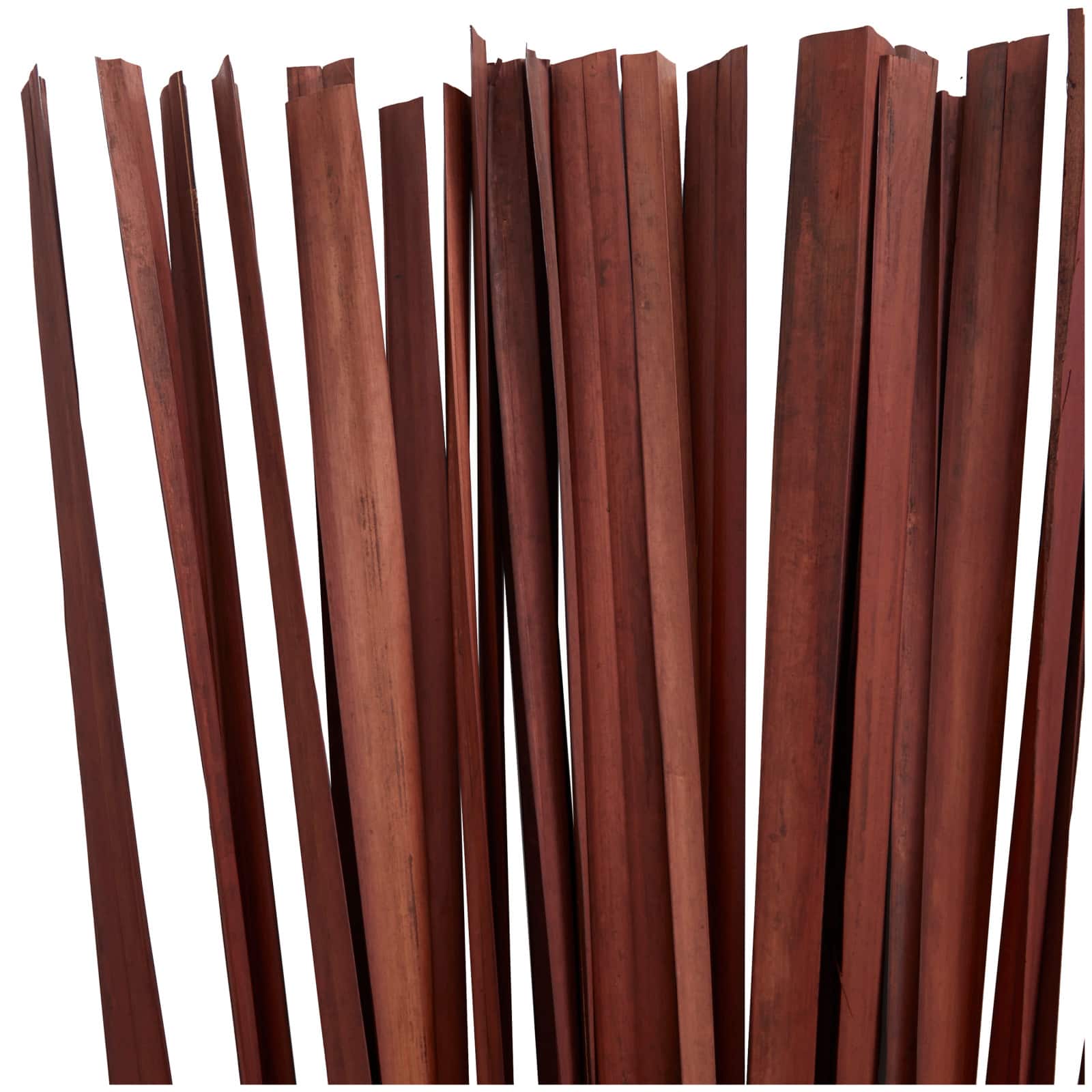 39&#x22; Dried Plant Sticks Natural Foliage With Slender Stems