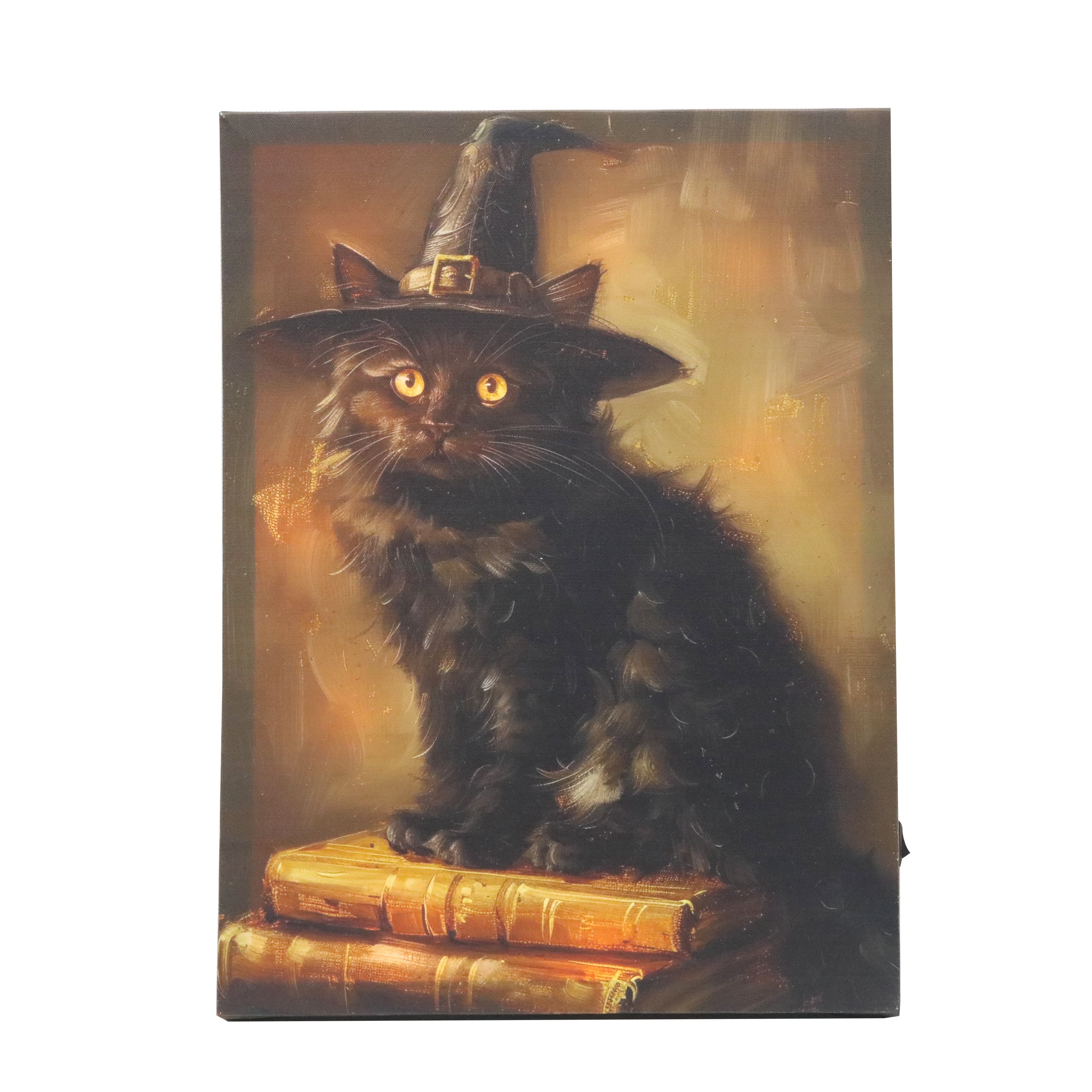11.75&#x22; x 15.75&#x22; Witch Cat LED Wall D&#xE9;cor by Ashland&#xAE;