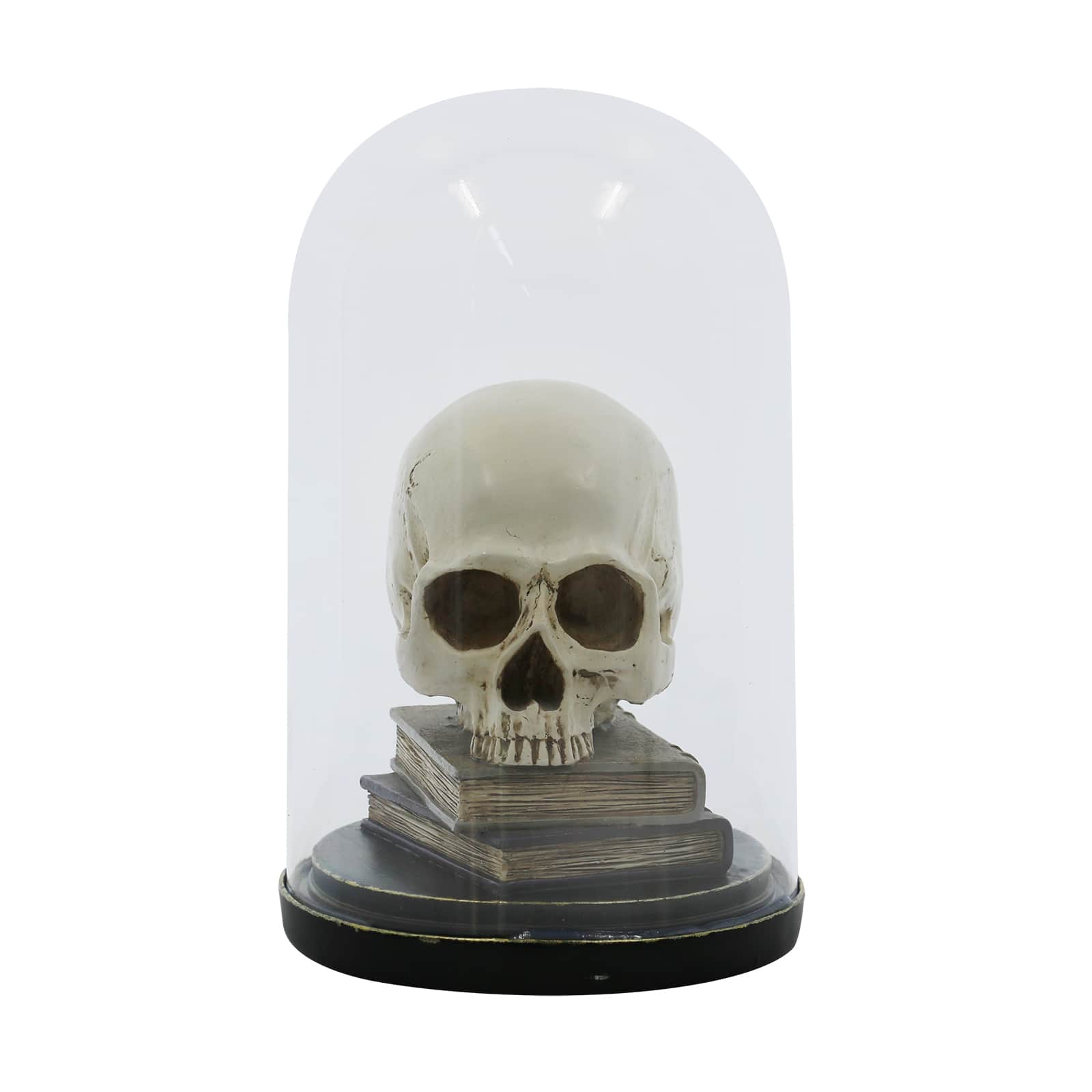 9.5&#x22; Skull on Books Cloche Tabletop D&#xE9;cor by Ashland&#xAE;