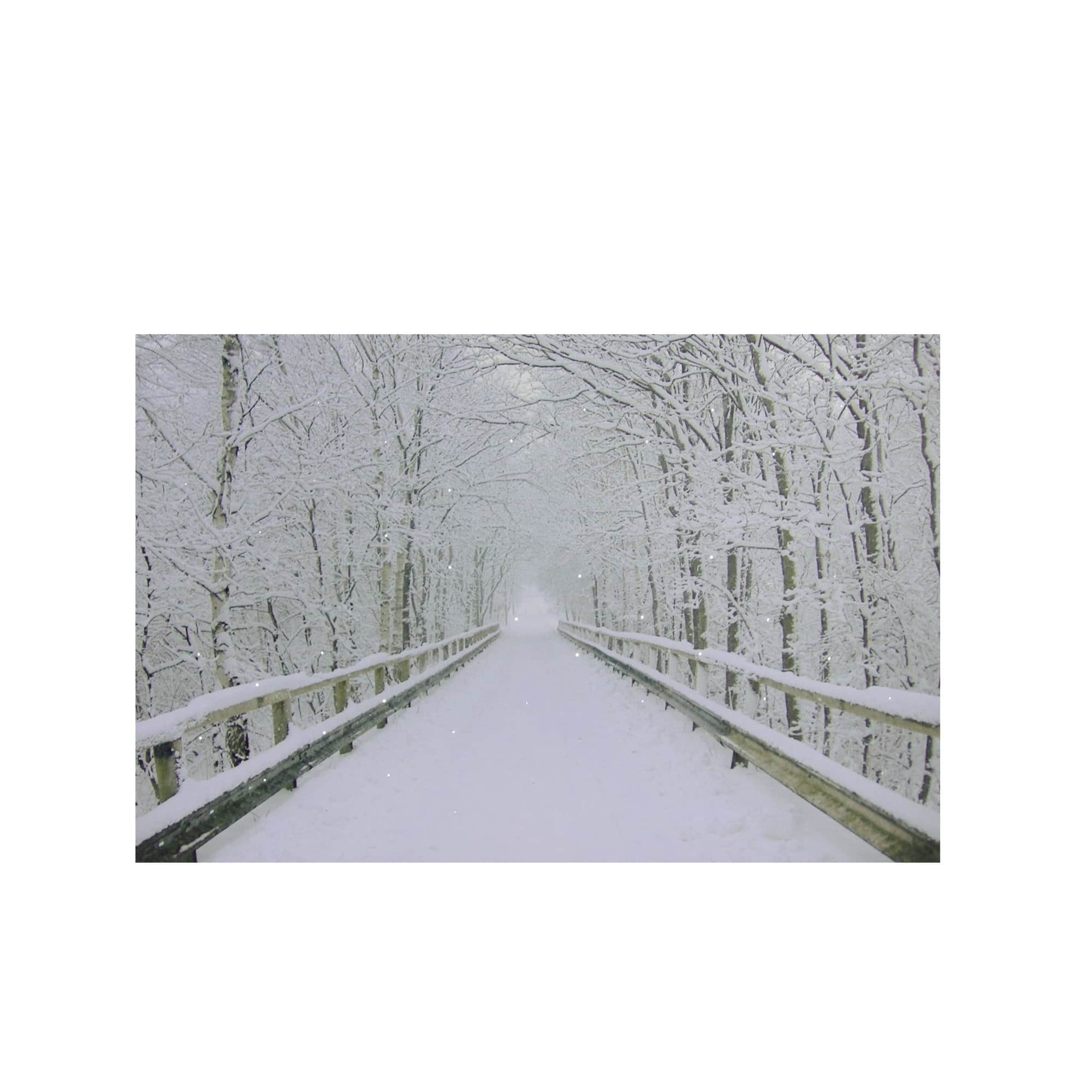 Winter Wooden Bridge Fiber Optic Lighted Canvas Wall Art