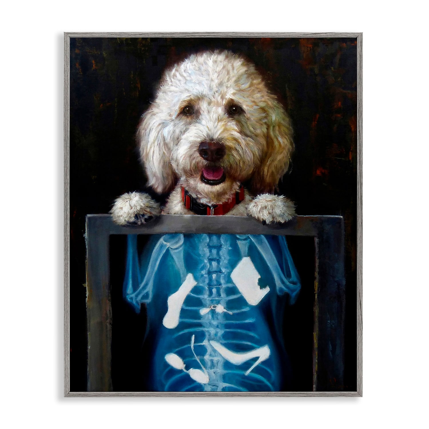 Stupell Industries Funny Dog X-Ray Snacks Framed Giclee Art
