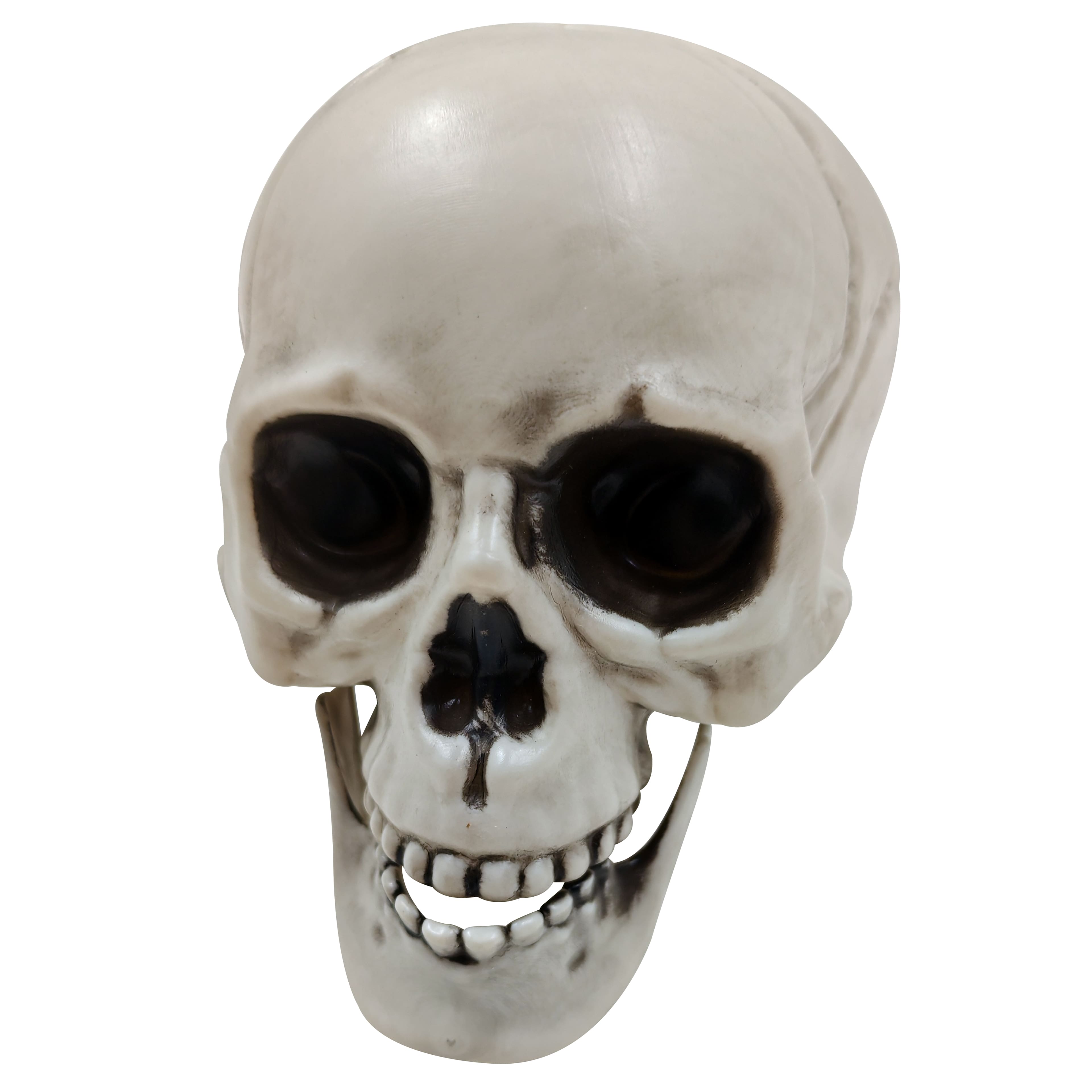 4&#x22; Skulls, 6ct. by Ashland&#xAE;