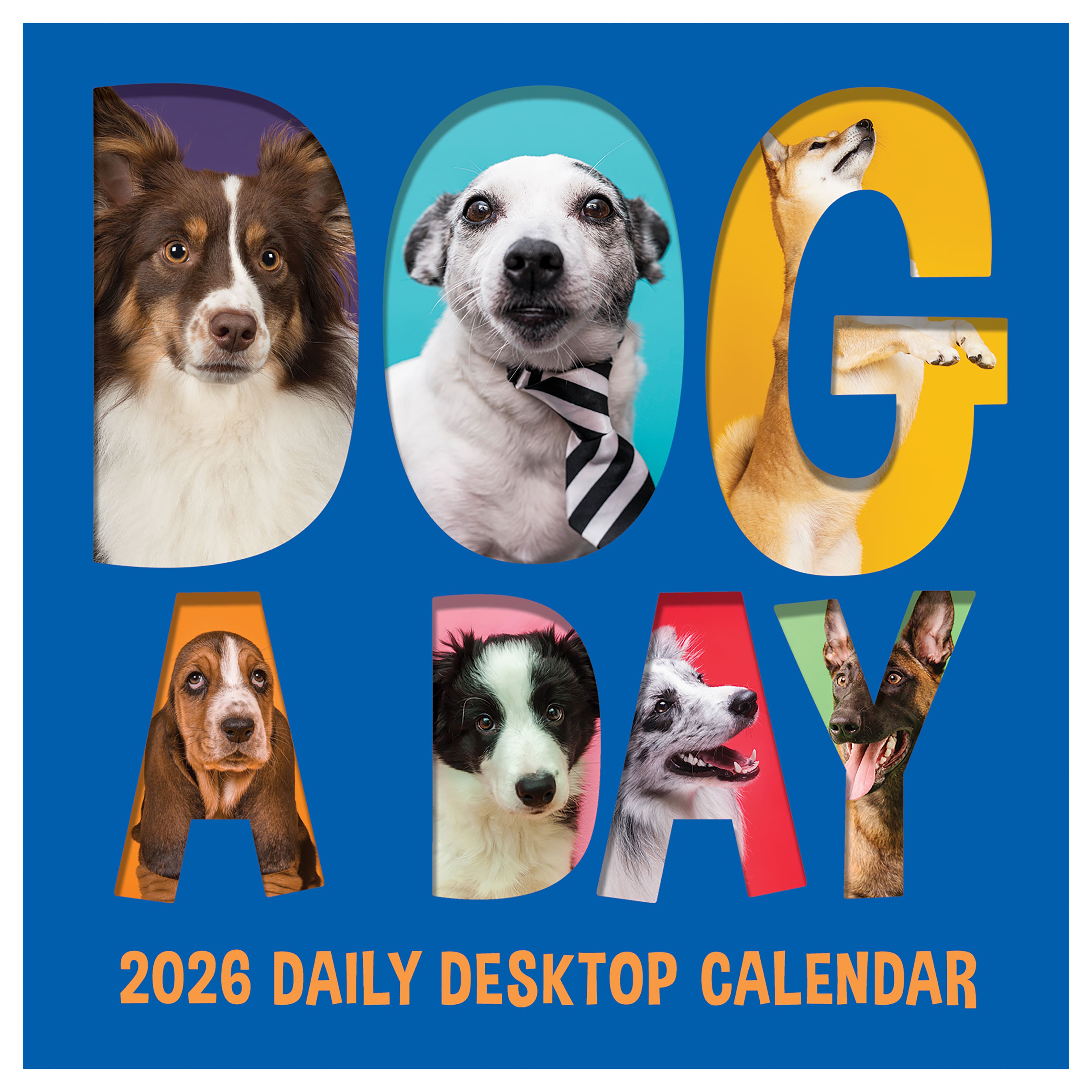 2026 Dog A Day Daily Desktop Calendar