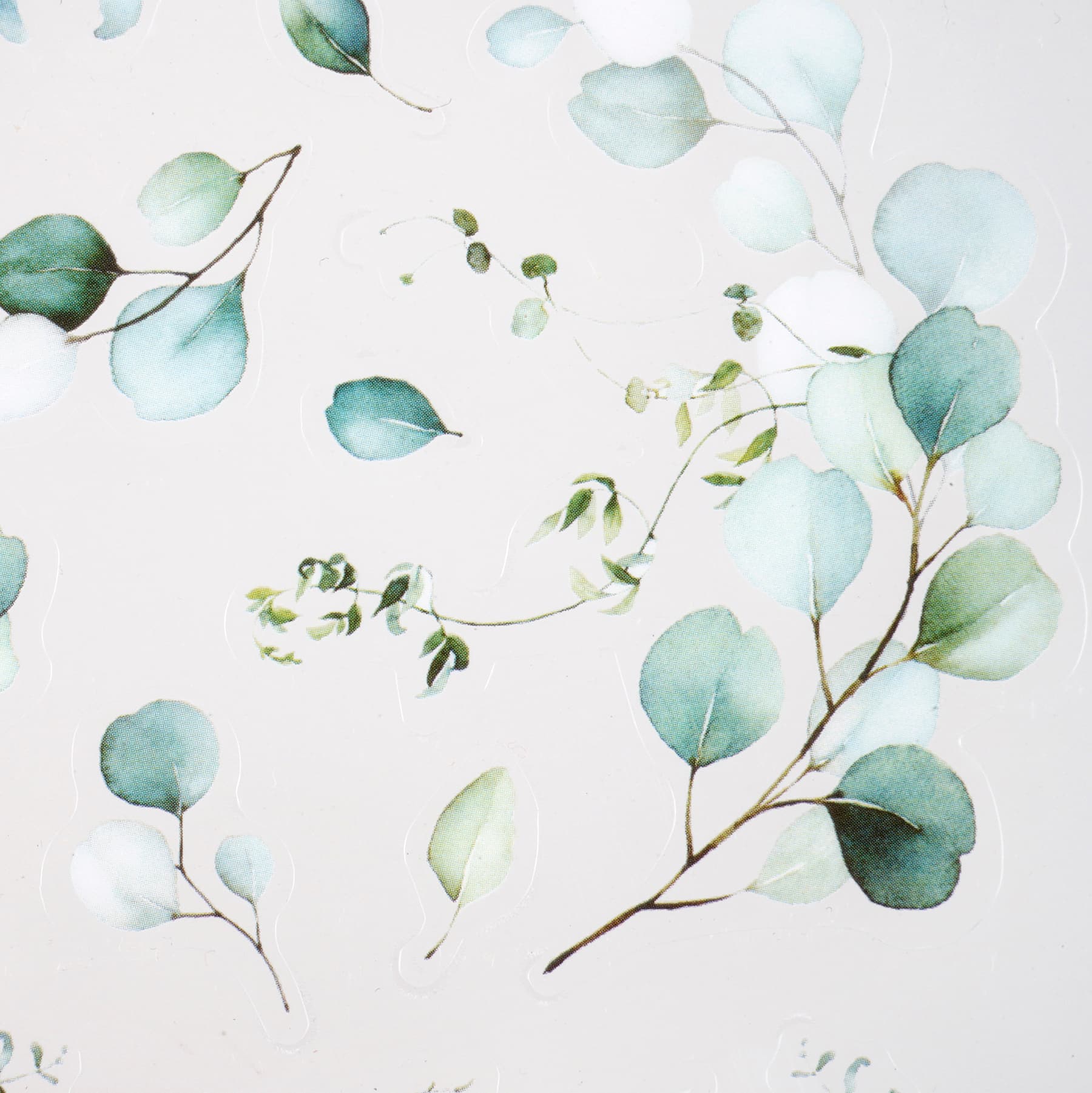 12 Pack: Eucalyptus Branch Stickers by Recollections™