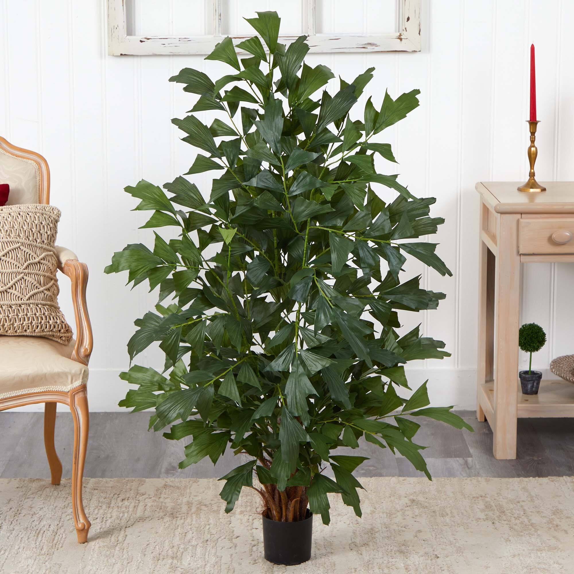 4.5ft. Potted Fishtail Palm Tree