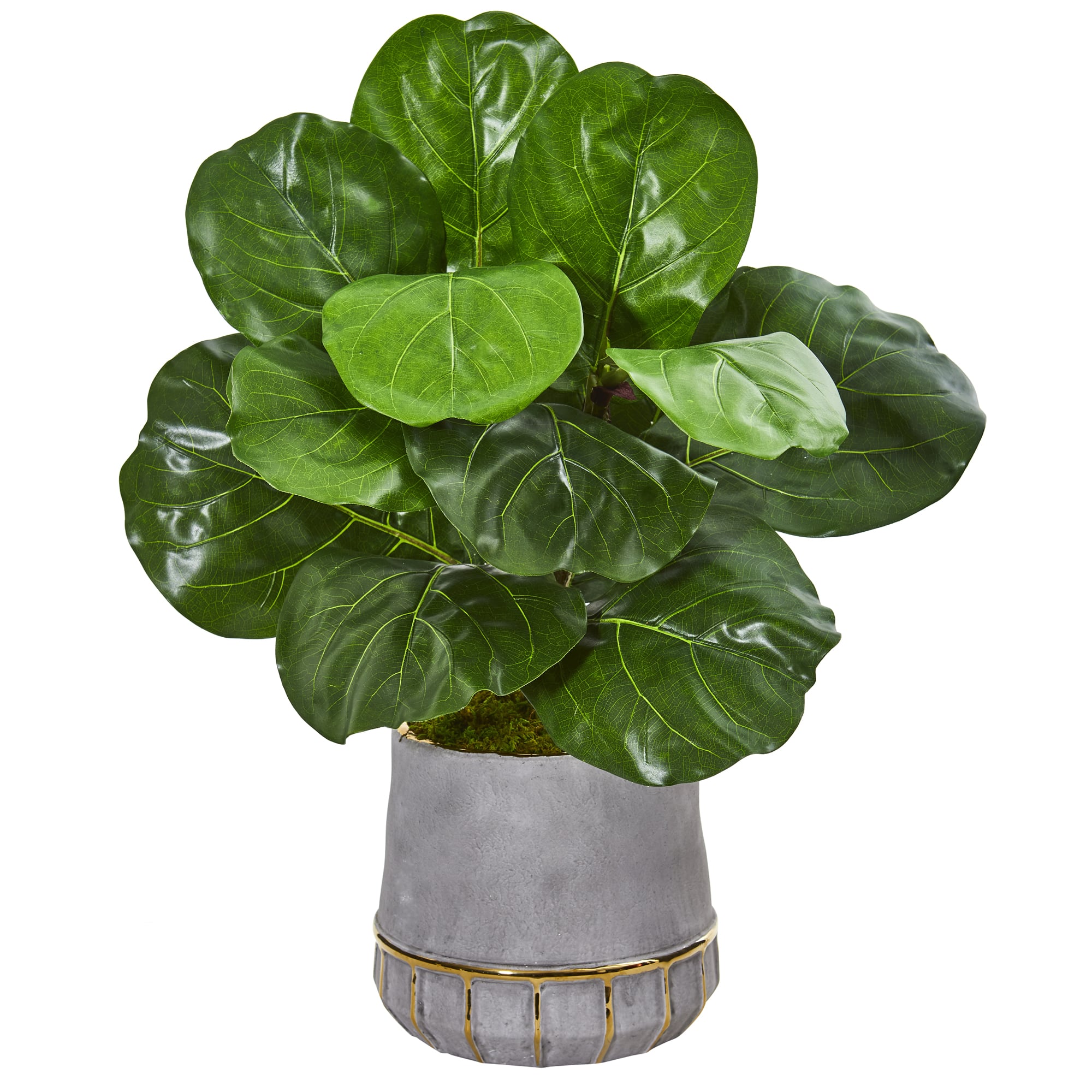 23'' Fiddle Leaf Plant in Stoneware Planter