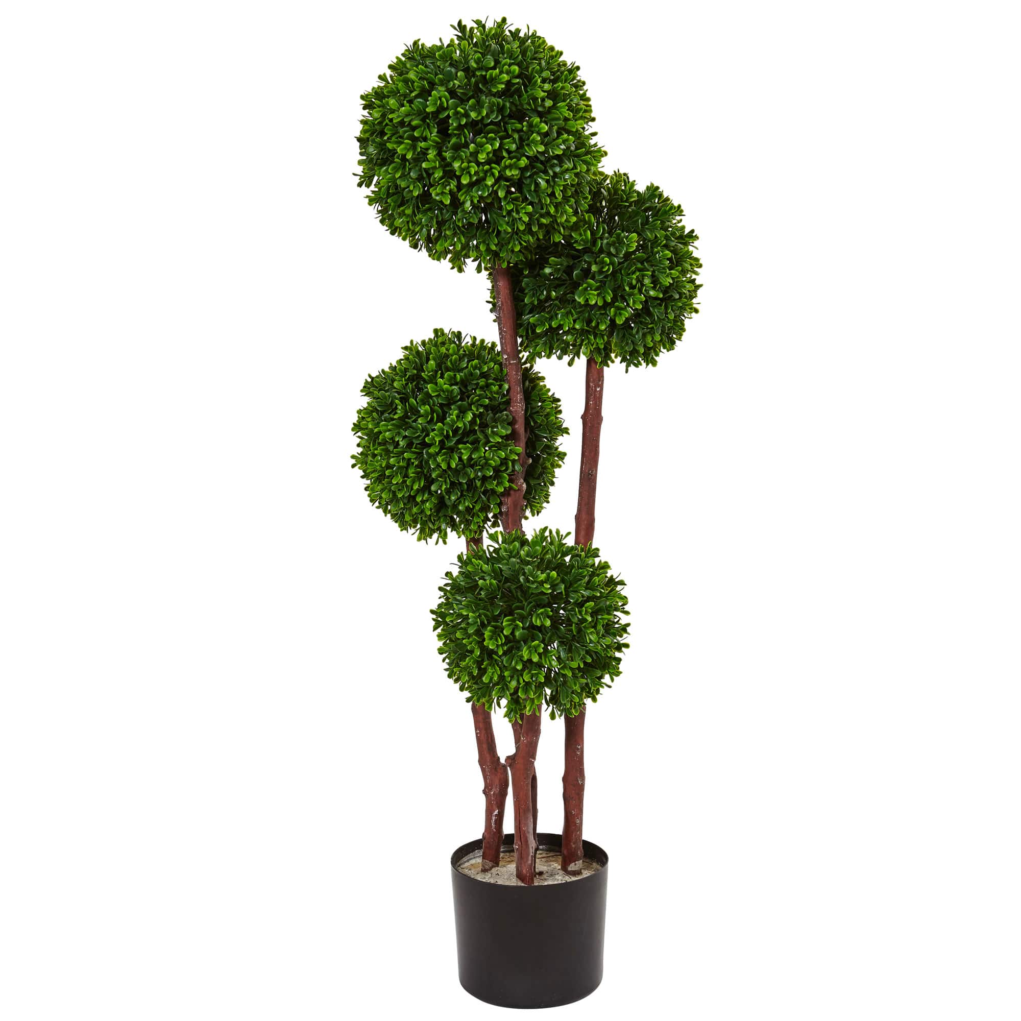 3ft. Potted Boxwood Topiary Tree
