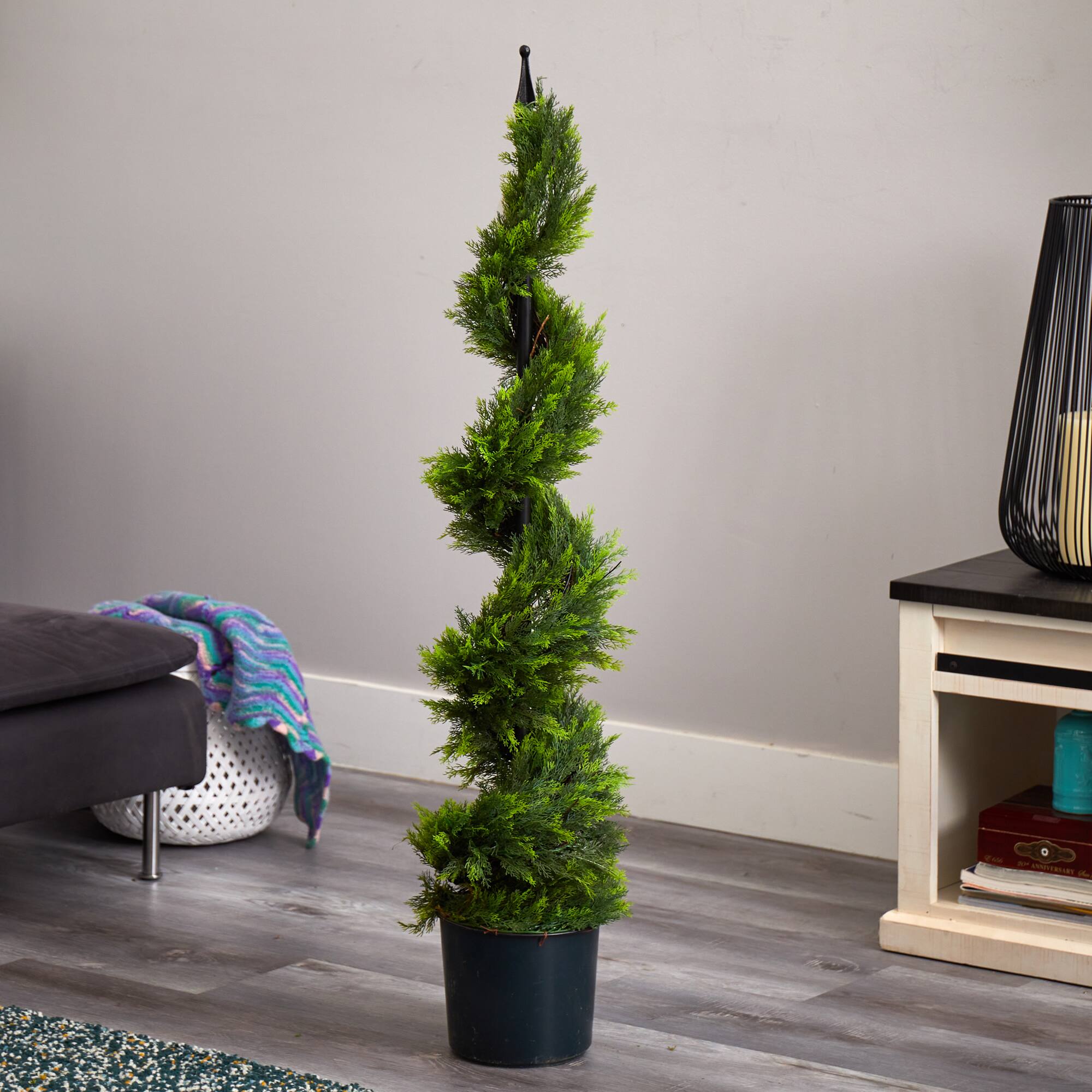 4ft. Potted Cypress Spiral Tree | Michaels