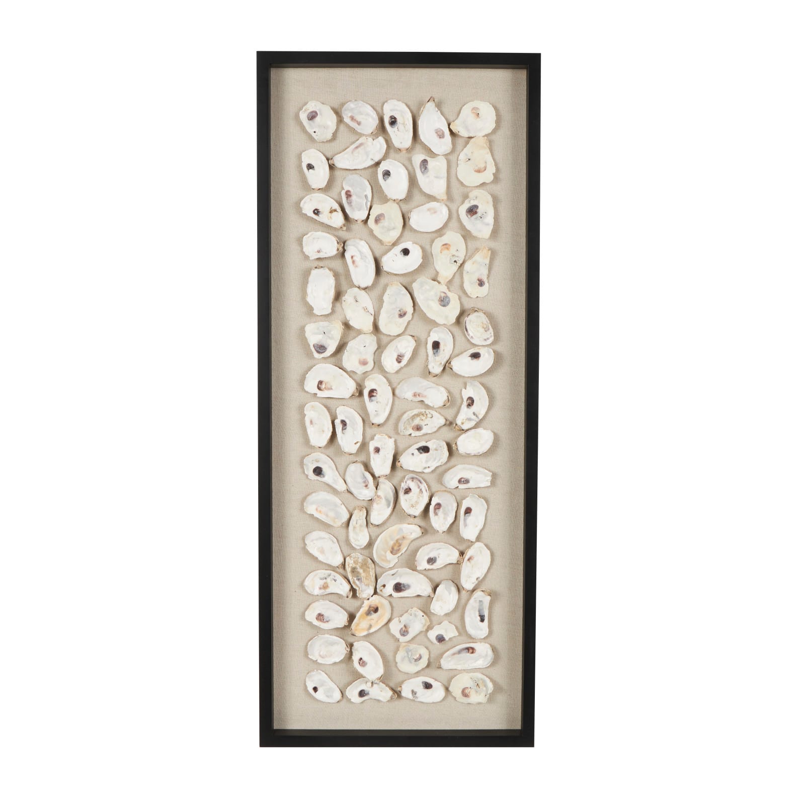 Cream Shell Wall D&#xE9;cor with Black Frame