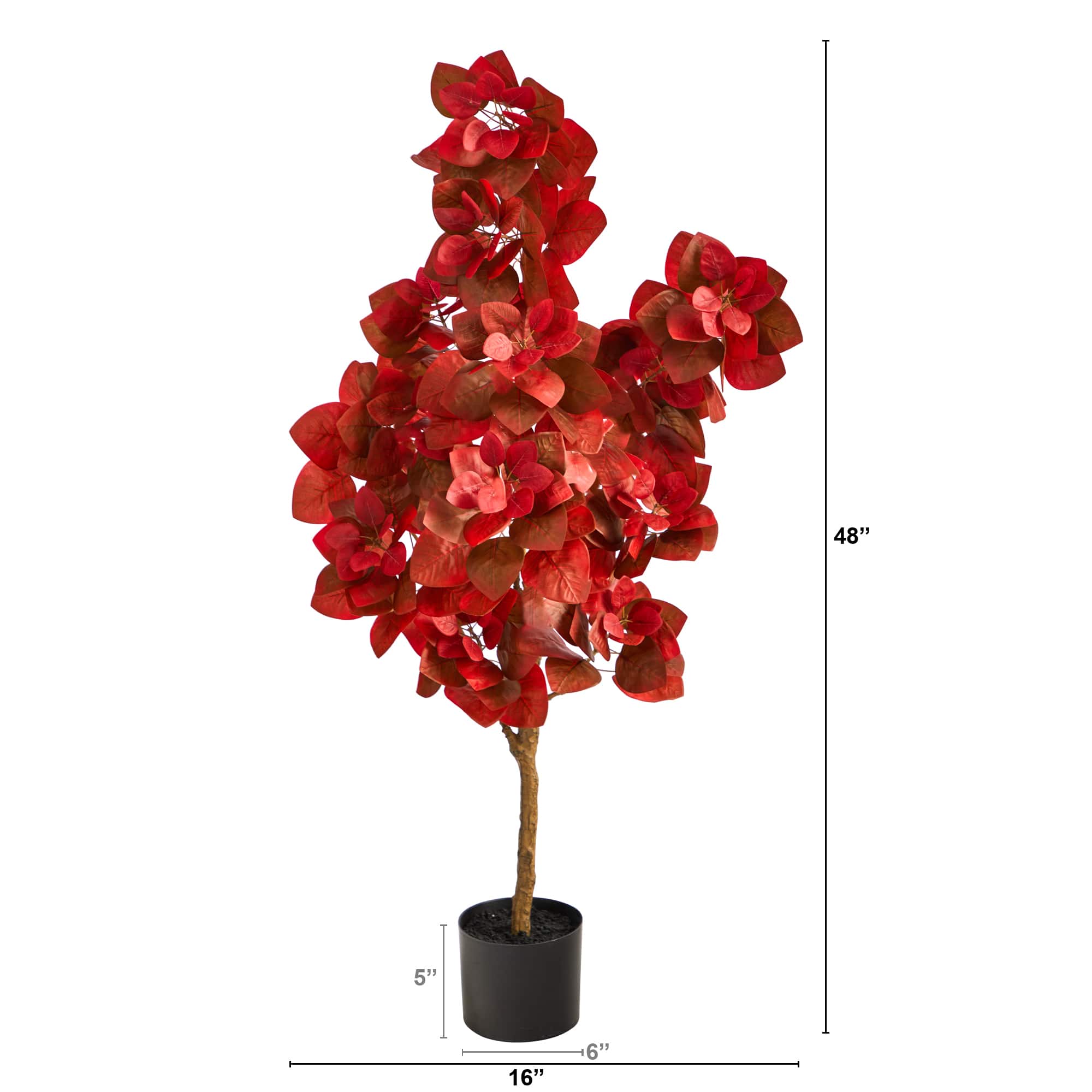 4ft. Potted Autumn Pomegranate Tree