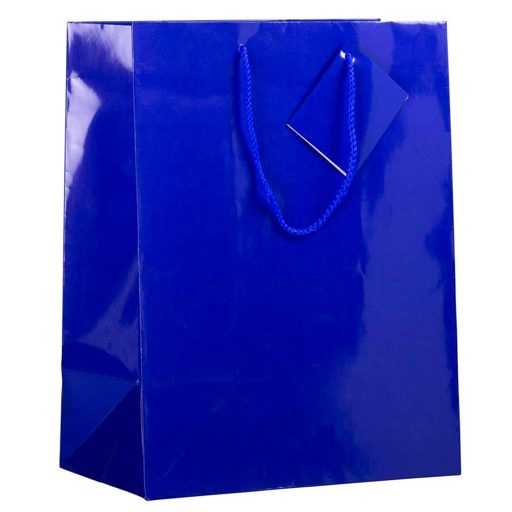 JAM Paper Large Glossy Gift Bags with Rope Handles, 3ct.