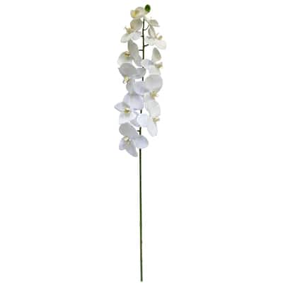 White Orchid Stem By Ashland® image