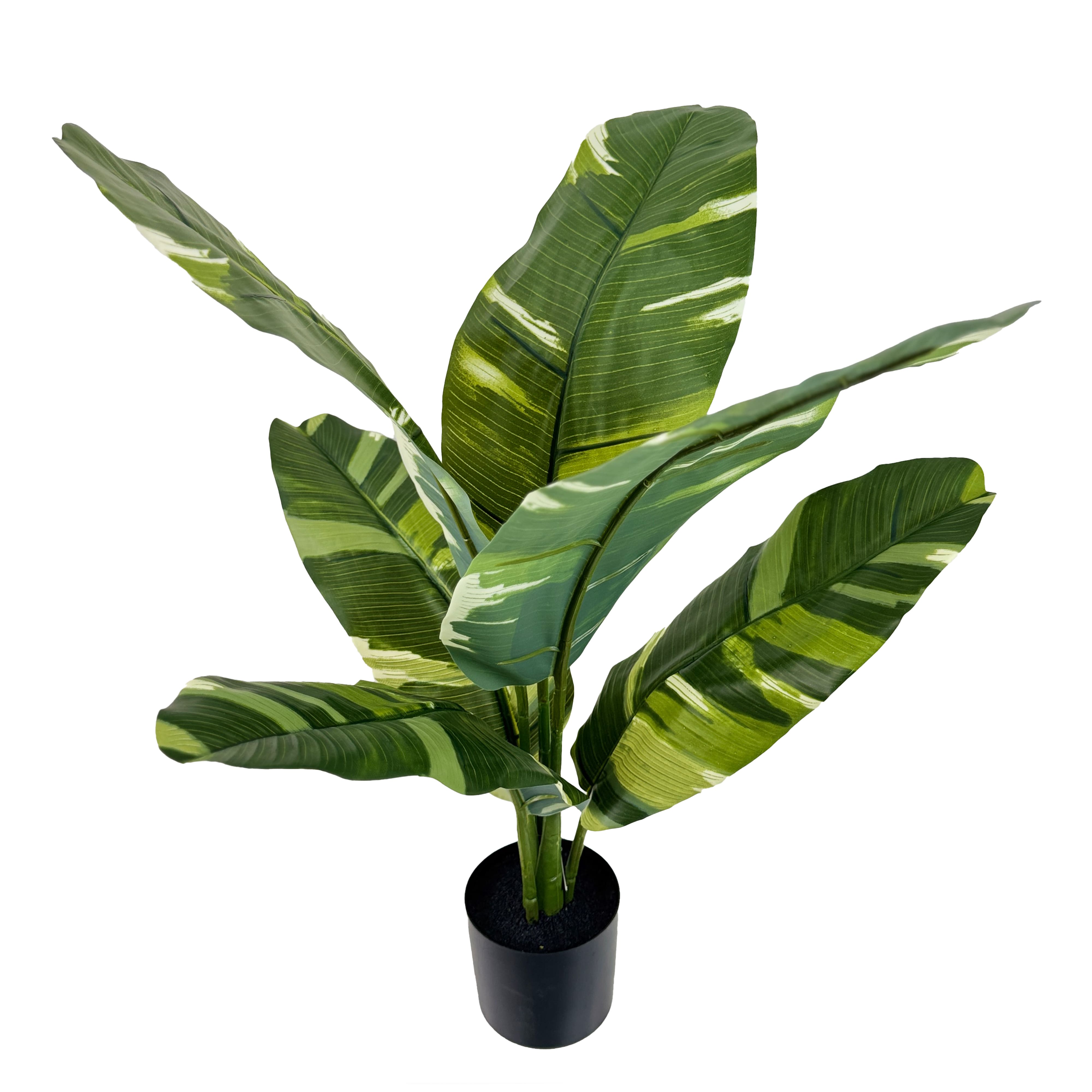 2.5ft. Potted Banana Leaf Plant by Ashland&#xAE;