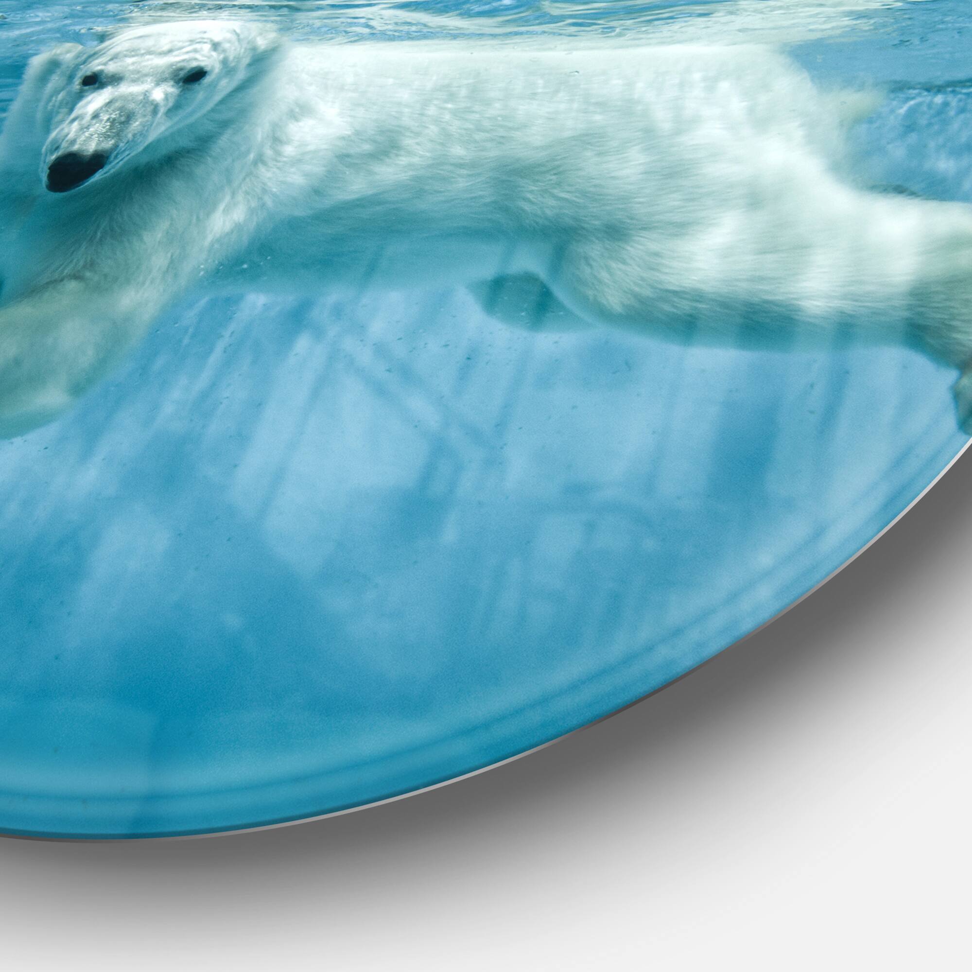 Designart - Polar Bear Swimming under Water&#x27; Disc Large Animal Metal Artwork