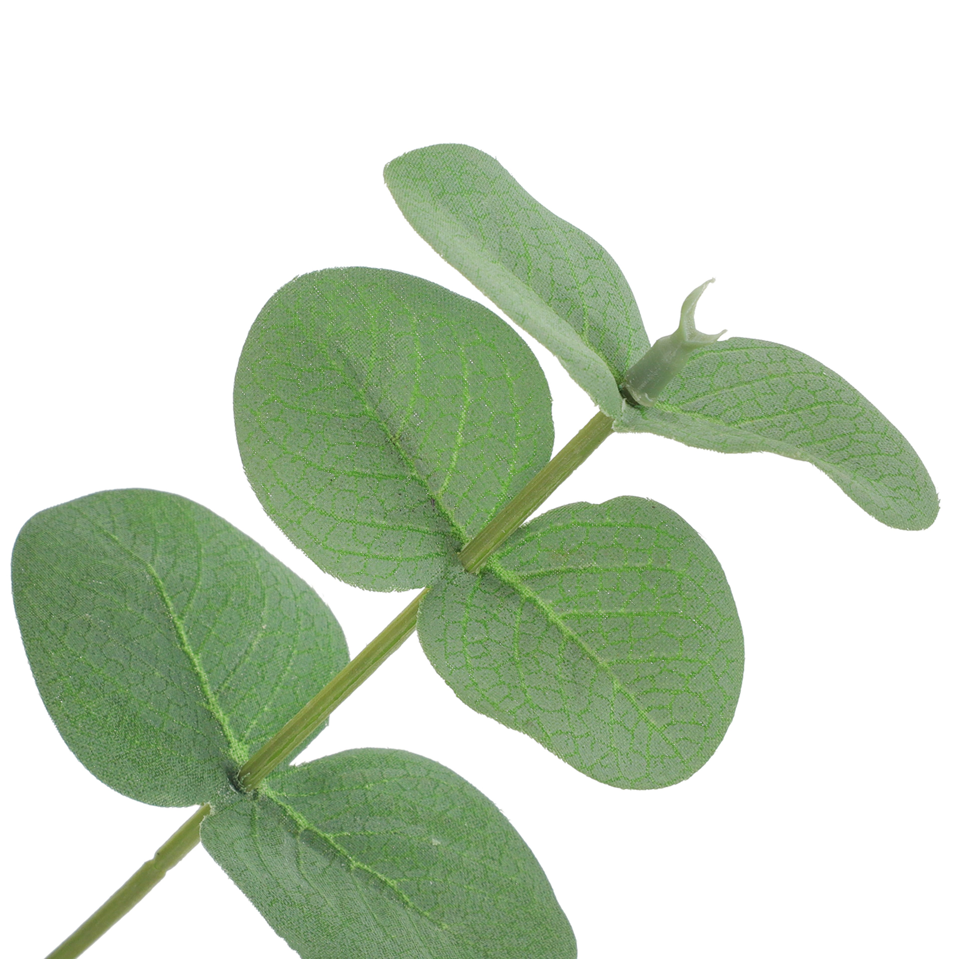 19&#x22; Green Eucalyptus Bush by Ashland&#xAE;